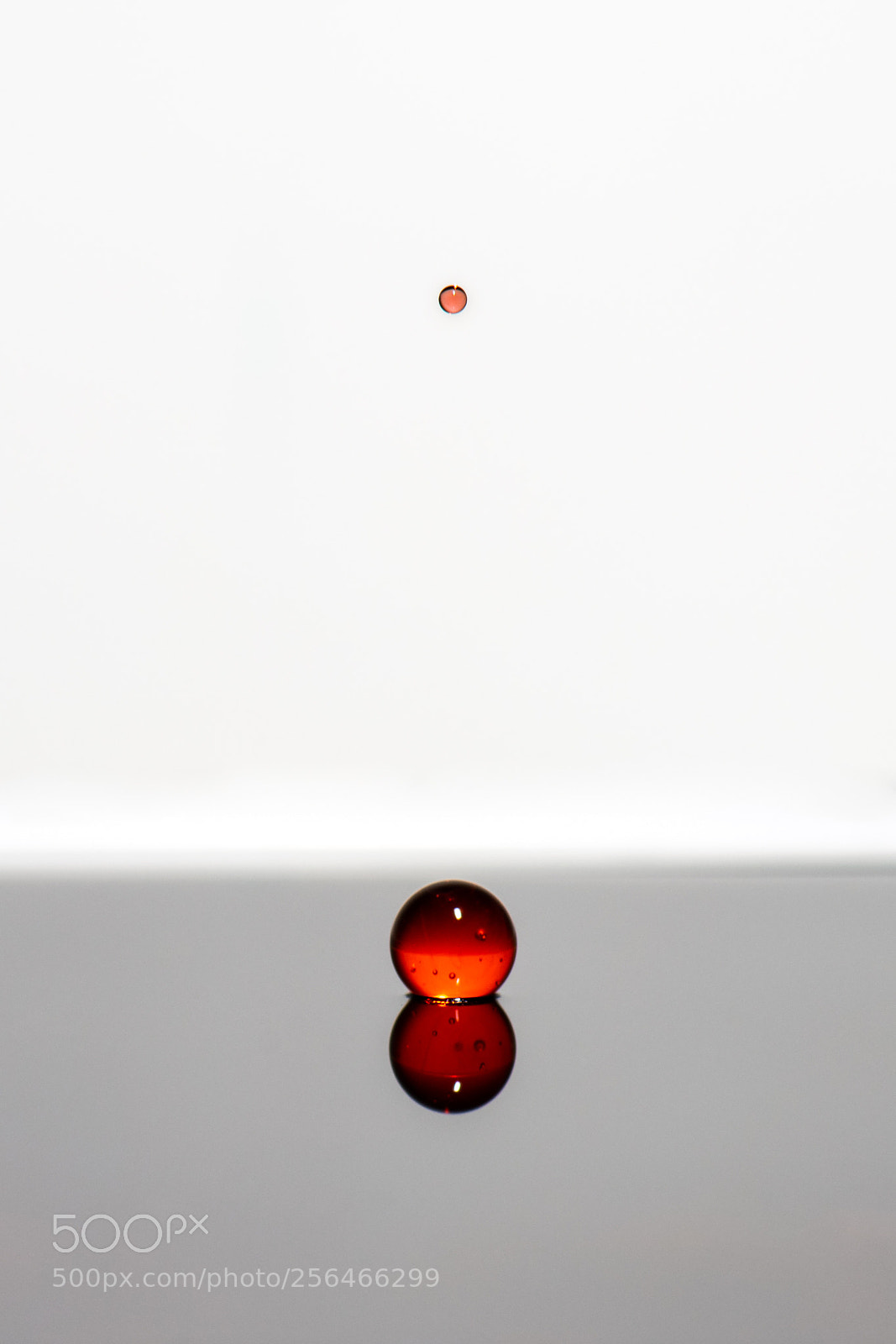 Nikon D850 sample photo. The balance photography