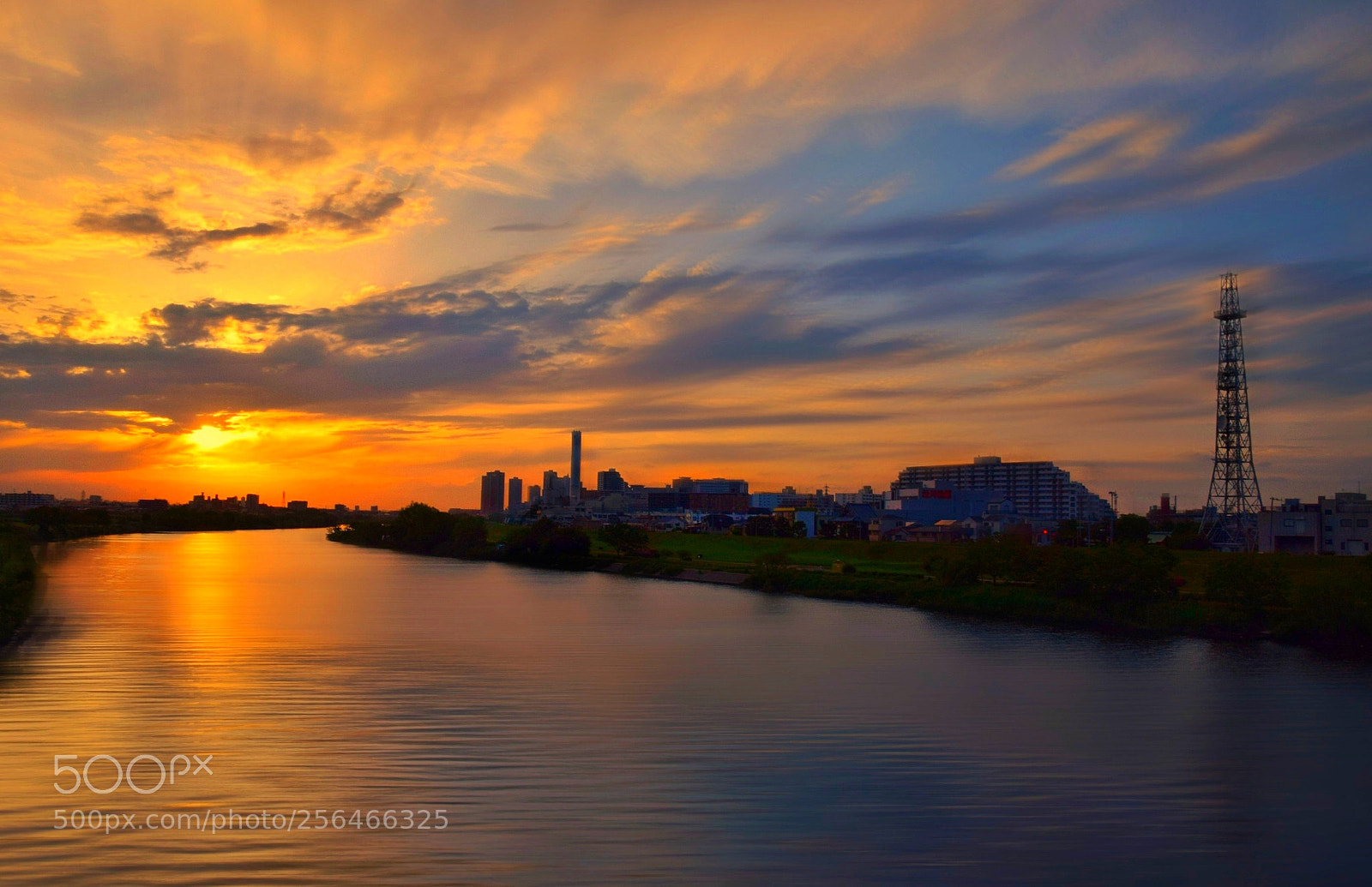 Nikon D3300 sample photo. Sunset tama river (3) photography