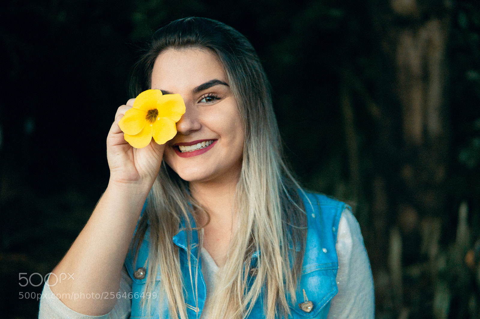 Sony a6000 sample photo. Untitled photography