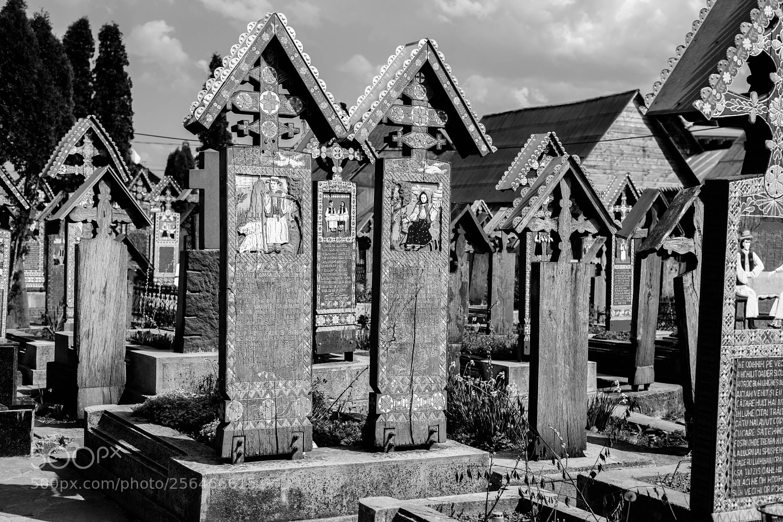 Nikon D750 sample photo. The merry cemetery photography