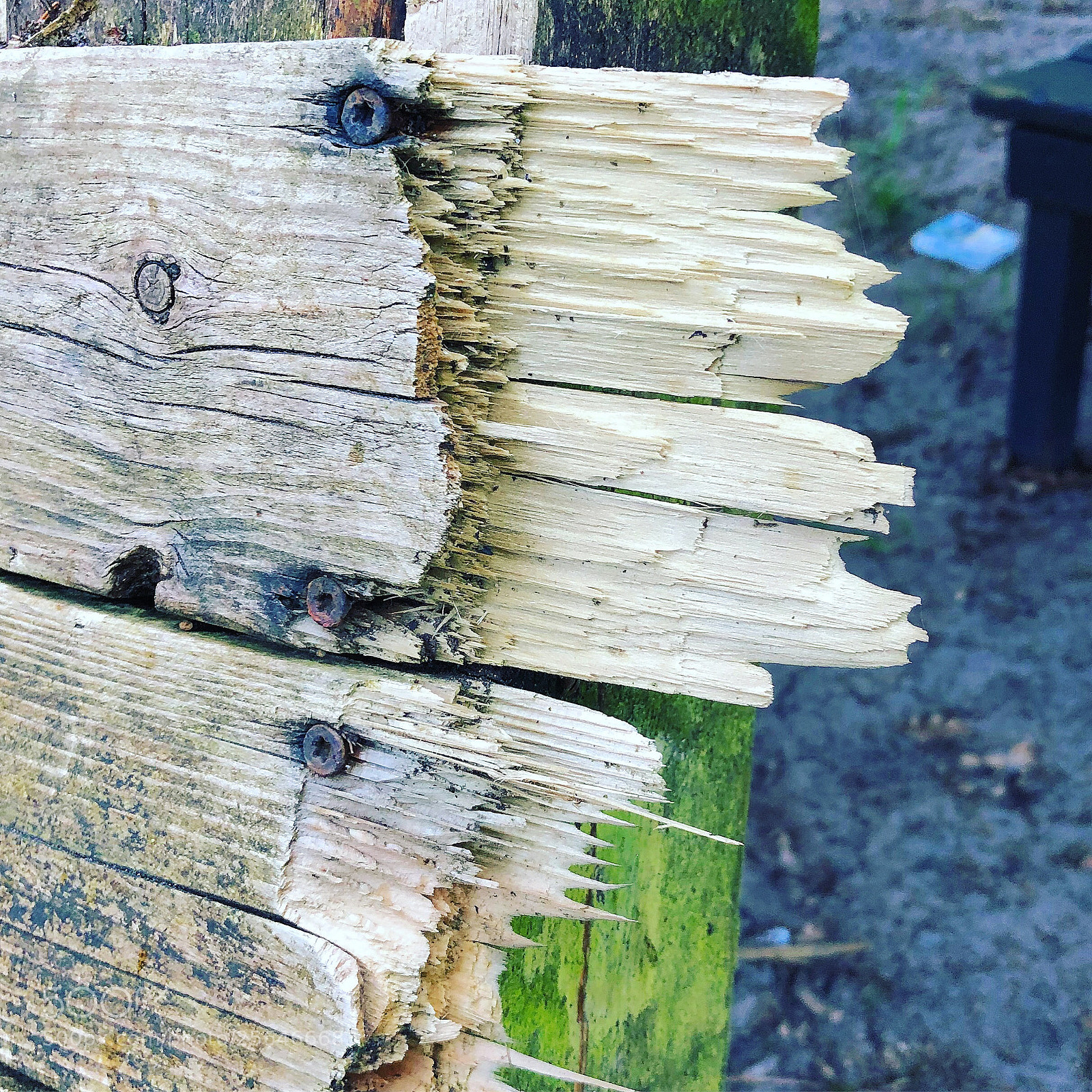 Apple iPhone 8 Plus sample photo. Broken wood photography