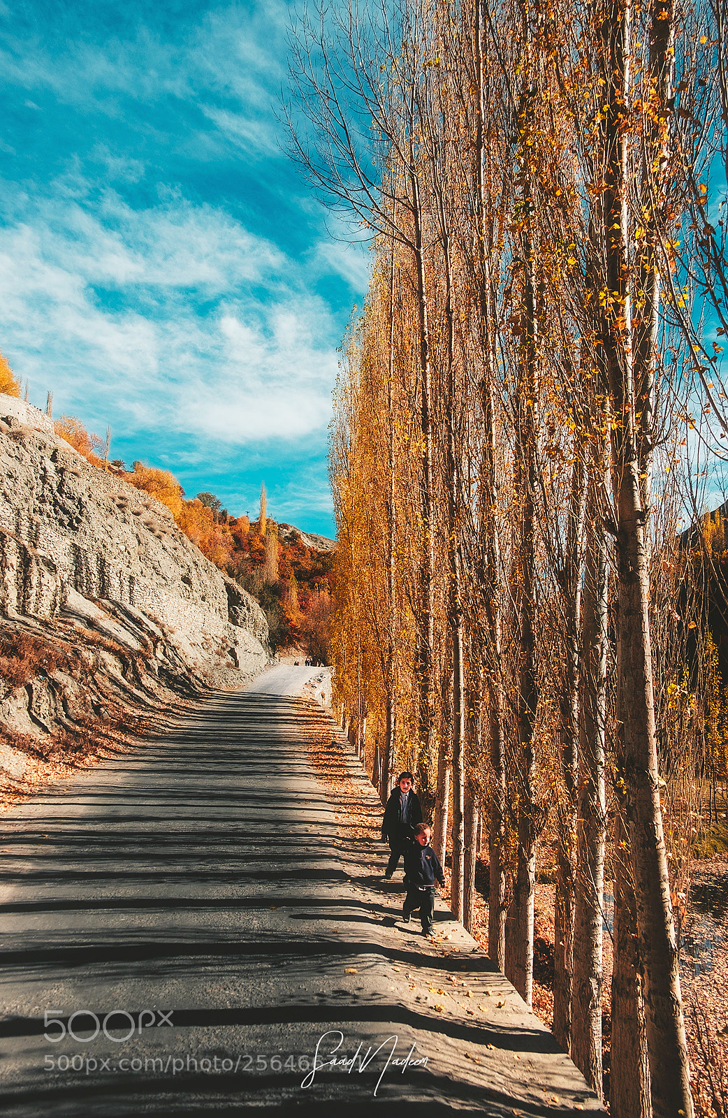 Fujifilm X-T10 sample photo. Hunza-nagar road, nagar valley photography