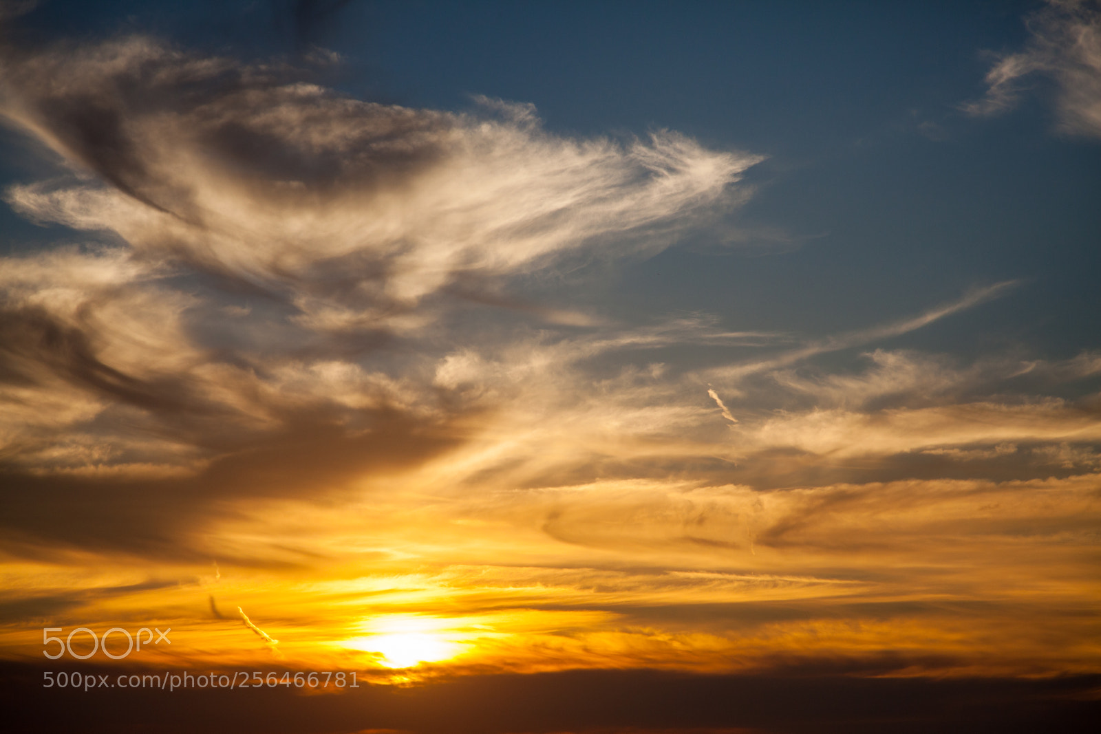Canon EOS 5D Mark II sample photo. Untitled photography