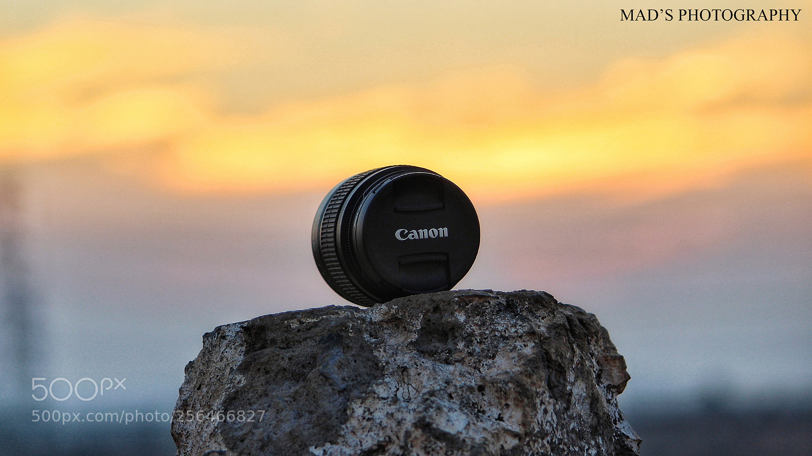 Canon EOS 1300D (EOS Rebel T6 / EOS Kiss X80) sample photo. Canon photography