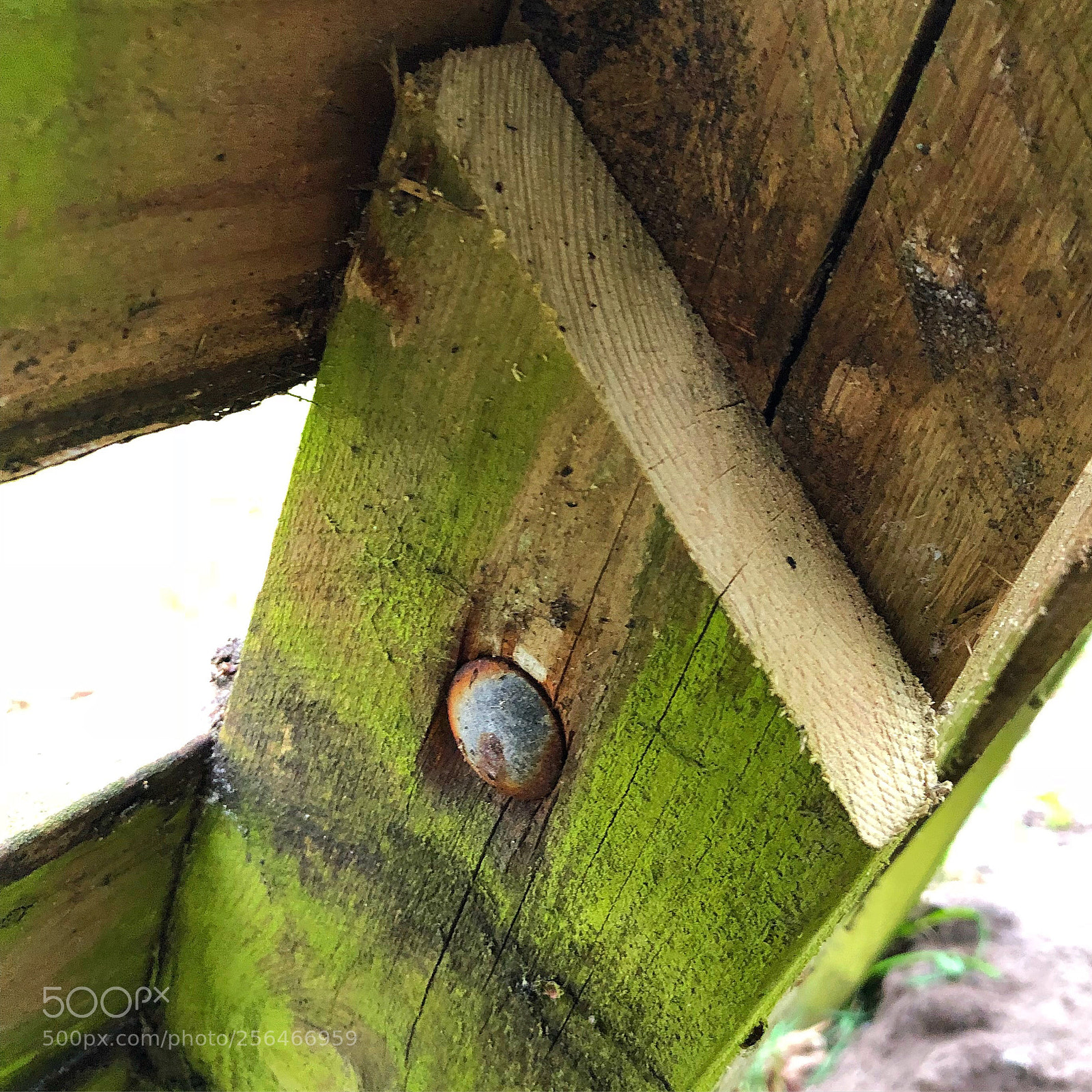 Apple iPhone 8 Plus sample photo. Wood and colours photography
