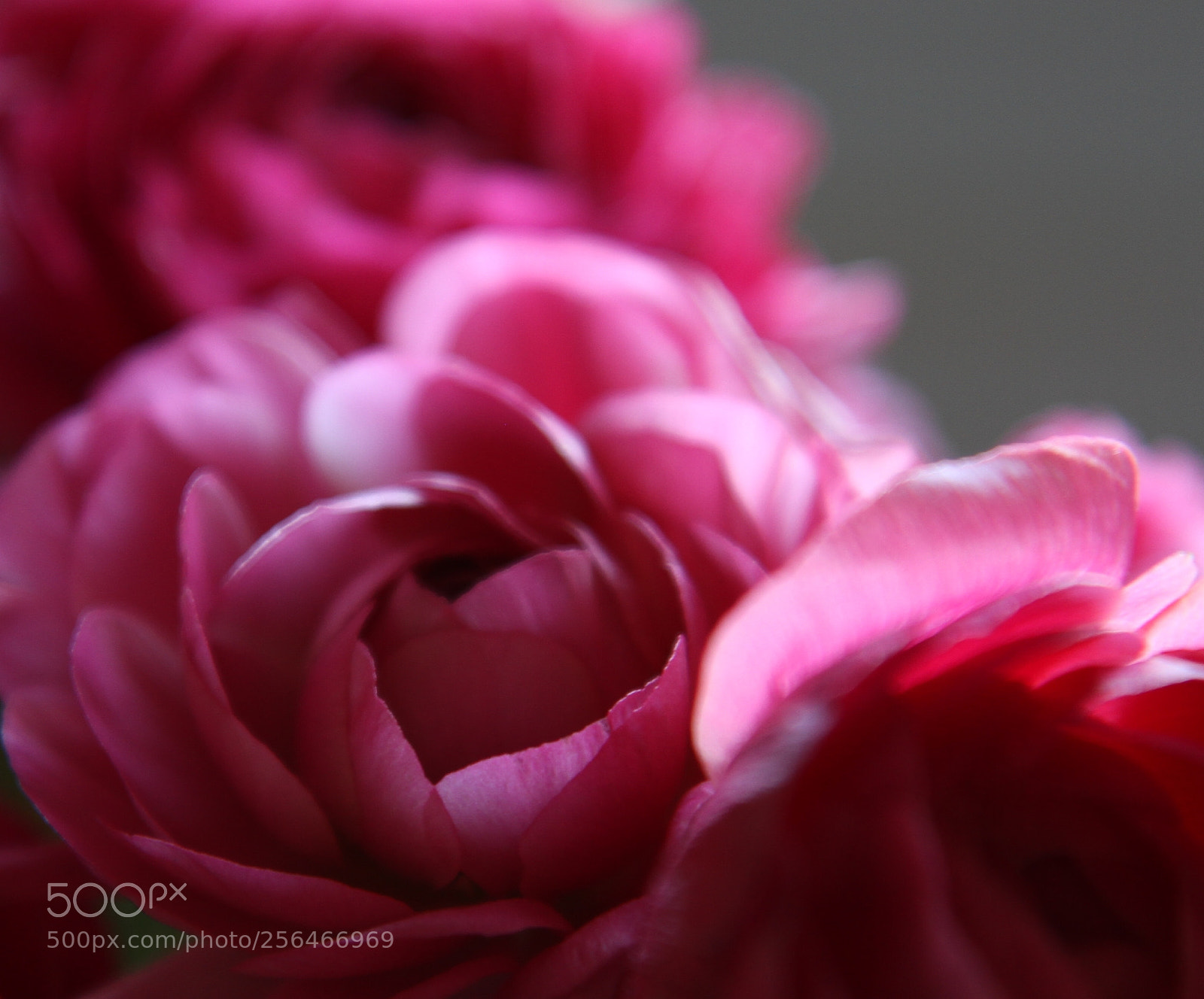 Canon EOS 7D sample photo. Untitled photography