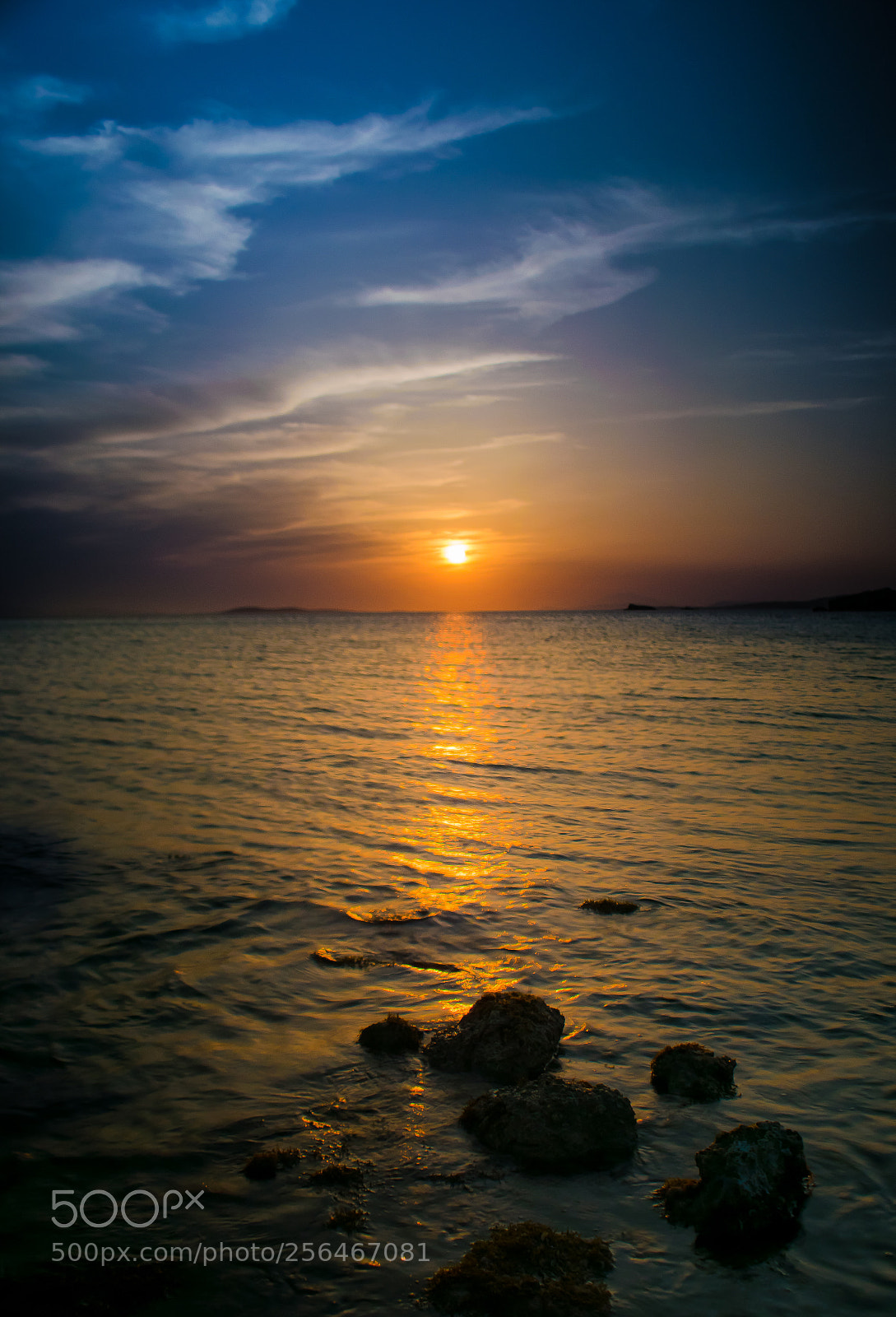 Nikon D3300 sample photo. Colors photography