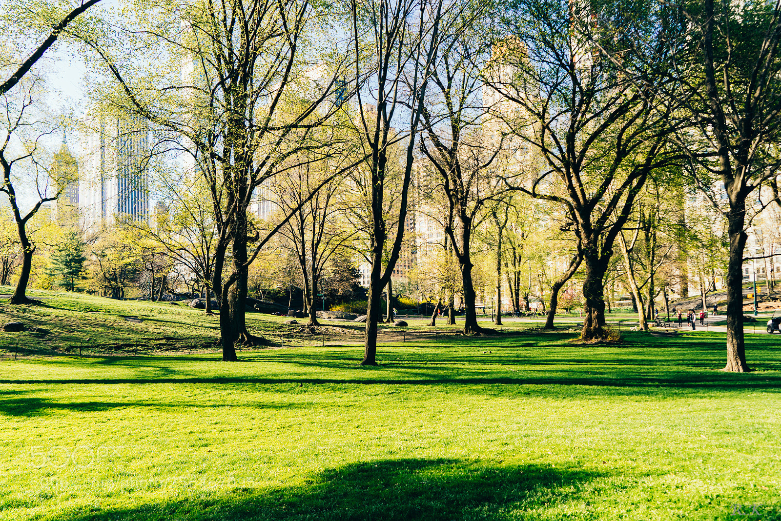 Sony a7R sample photo. Fields of green photography