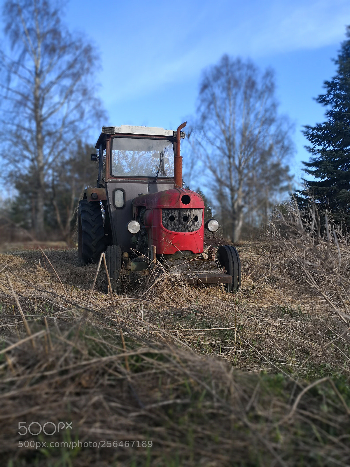 HUAWEI Mate 10 Pro sample photo. Spring photography