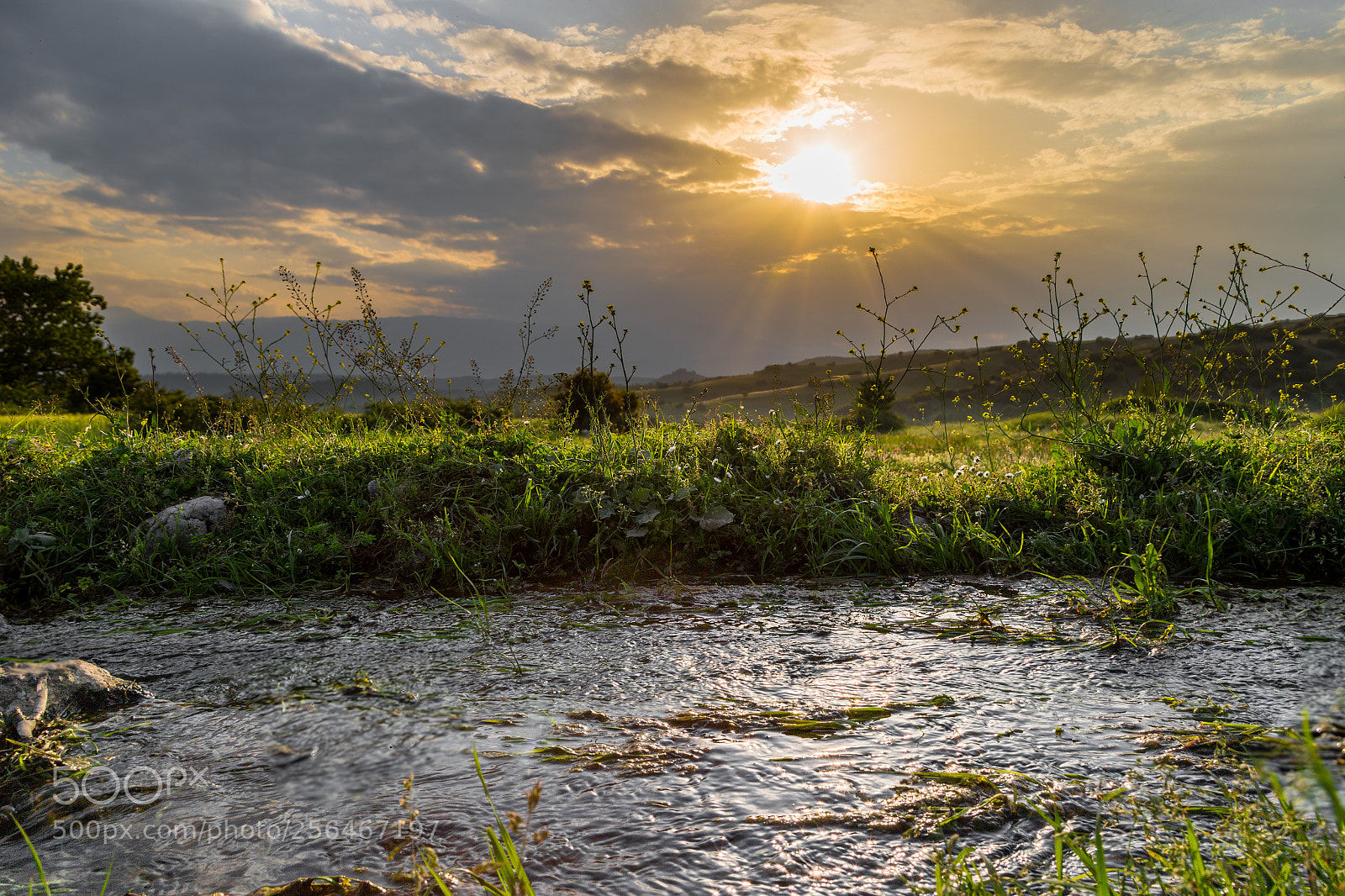 Canon EOS 6D sample photo. Giver of life photography