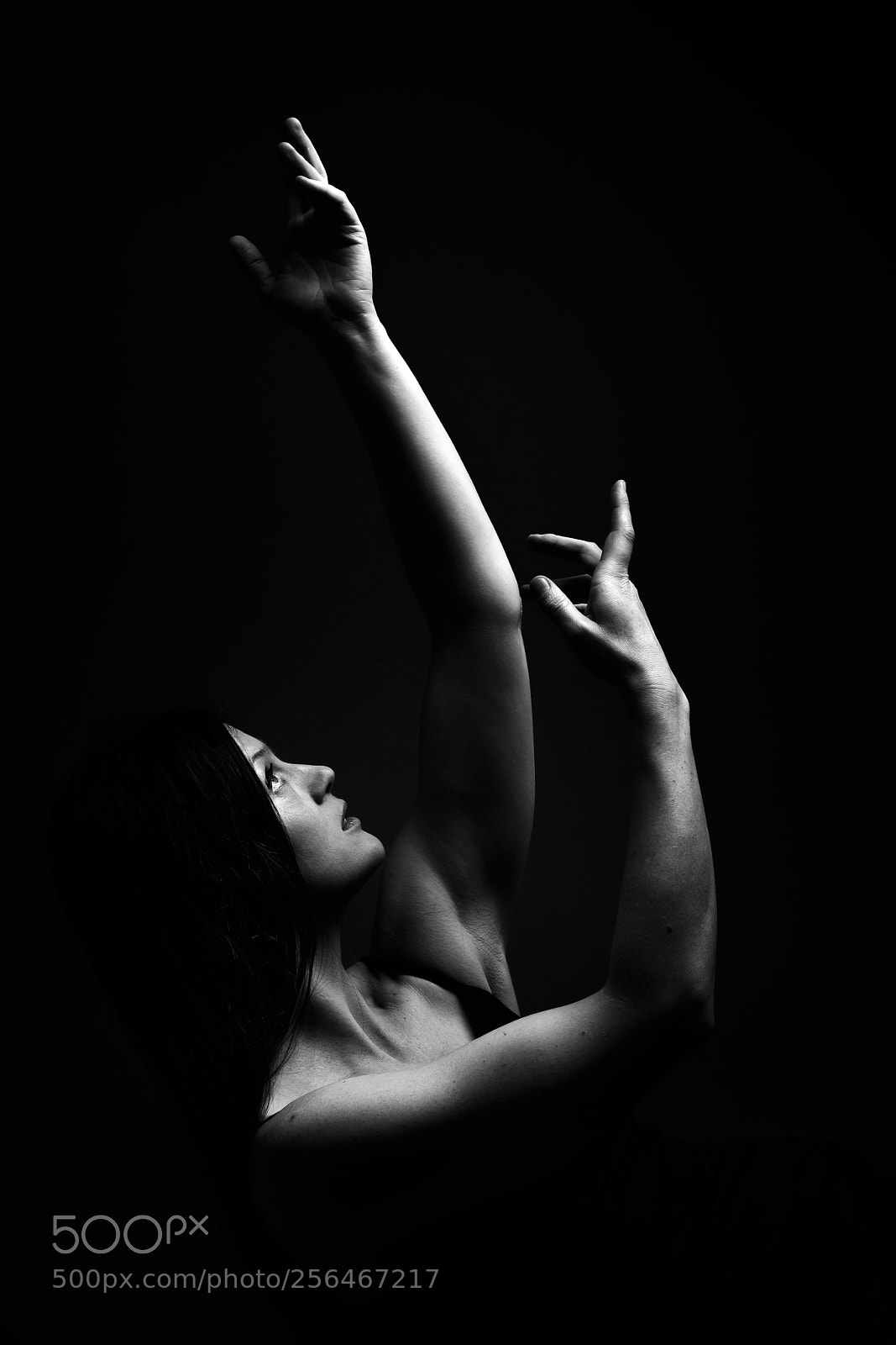 Canon EOS 6D sample photo. Sculpture photography