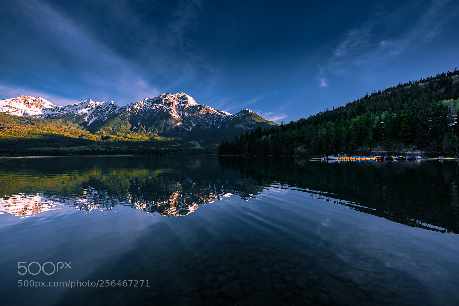 Nikon D810 sample photo. Morning at patricia lake photography