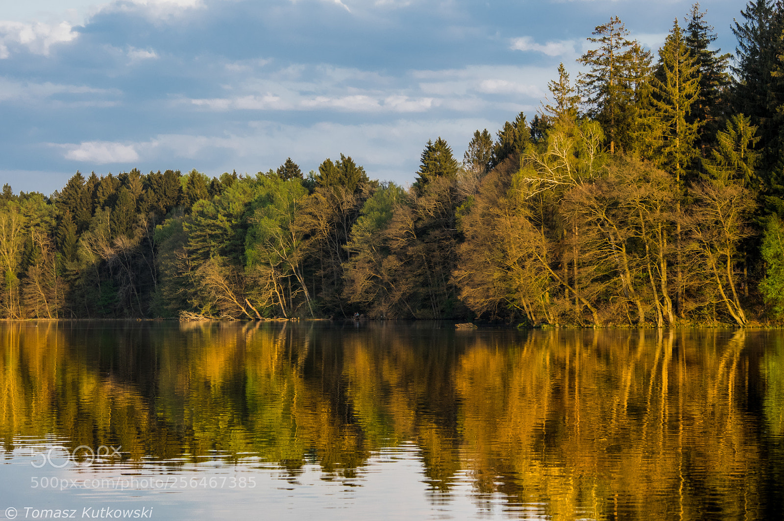Pentax K-3 sample photo. Forest and lake photography