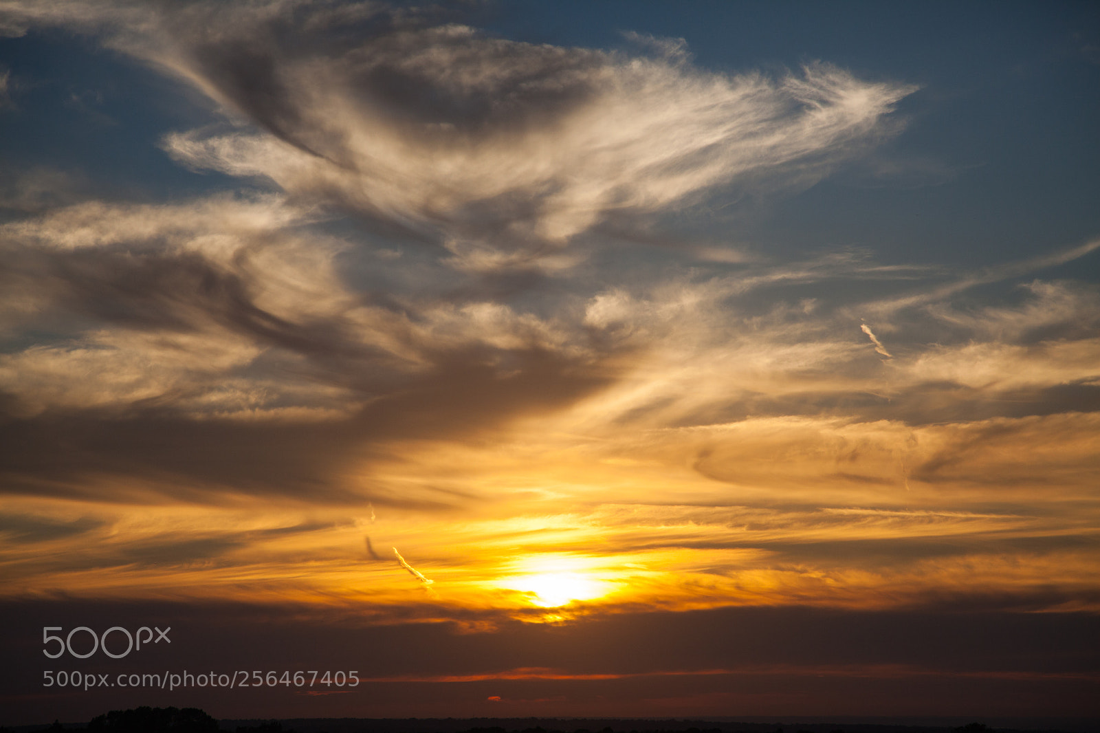 Canon EOS 5D Mark II sample photo. Untitled photography