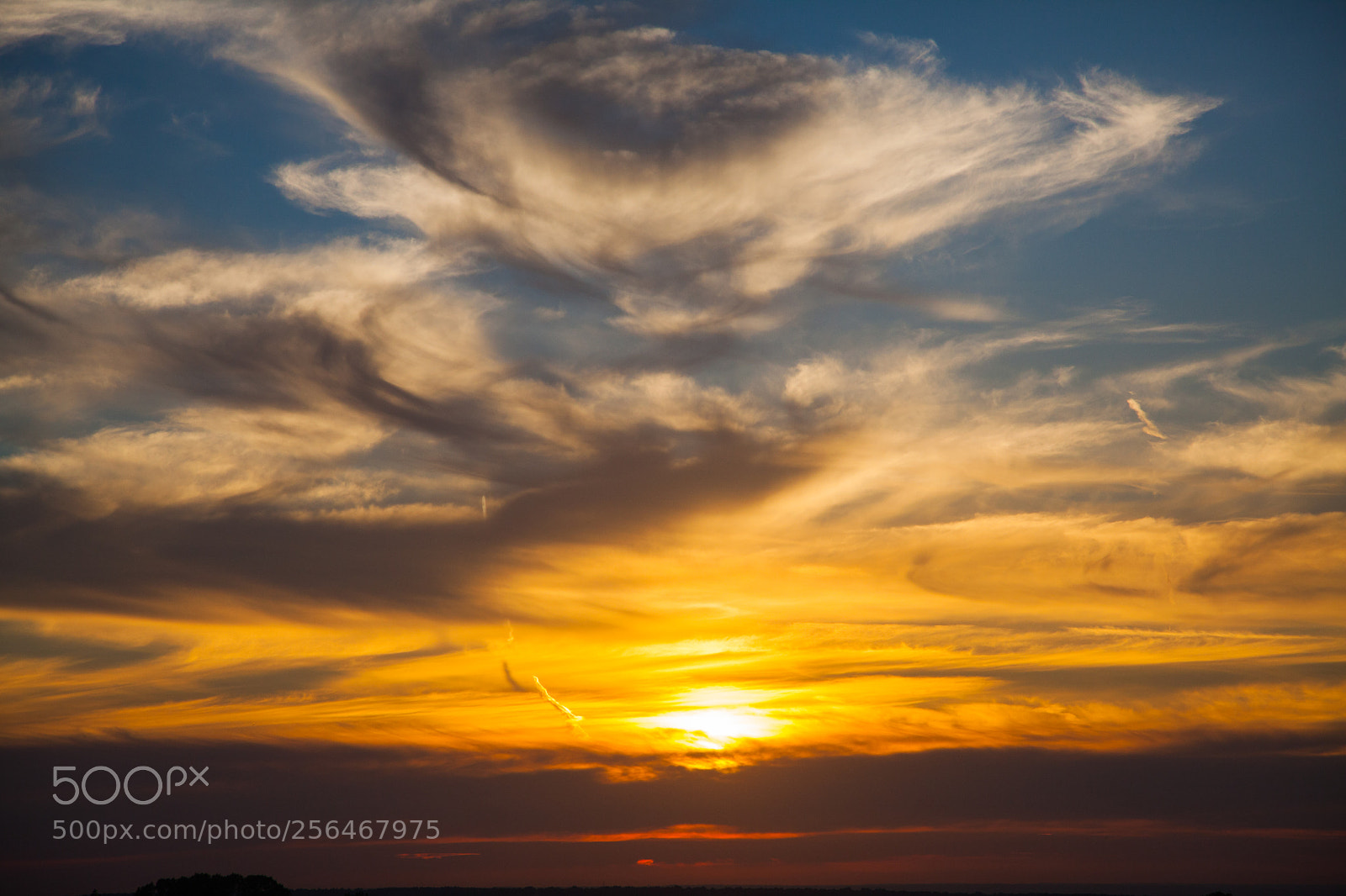 Canon EOS 5D Mark II sample photo. Untitled photography
