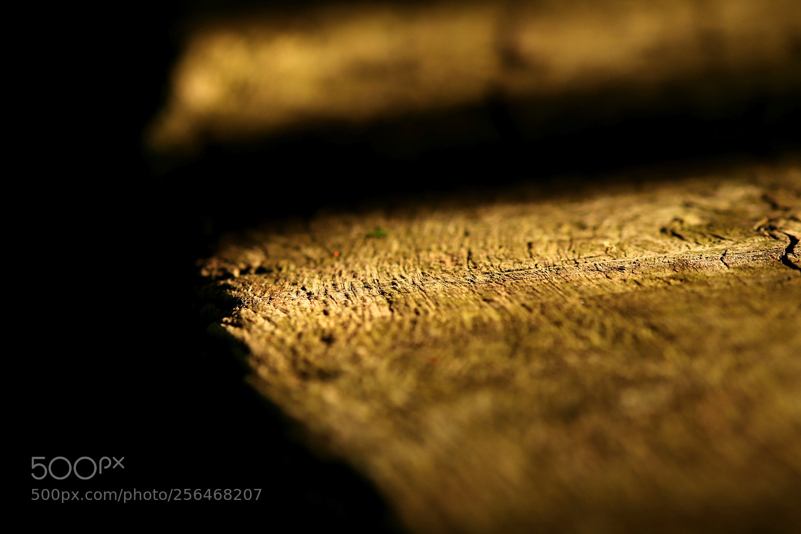 Canon EOS 77D (EOS 9000D / EOS 770D) sample photo. Brut ii photography
