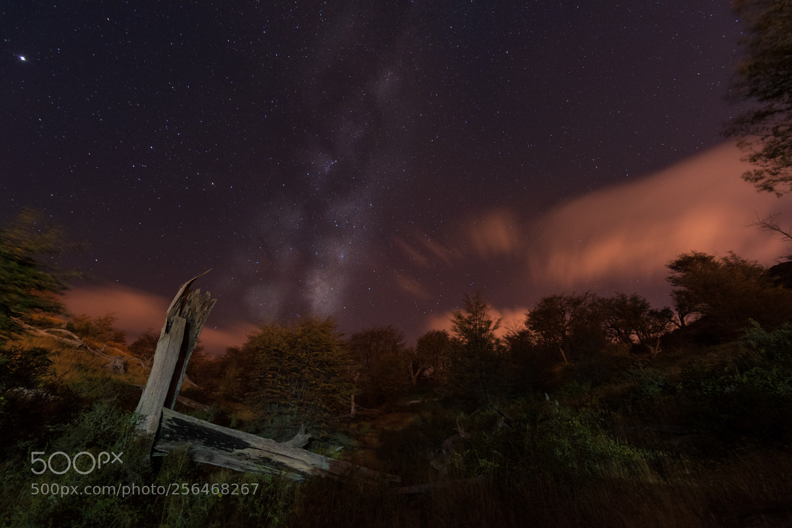 Nikon D750 sample photo. Milky way rising photography