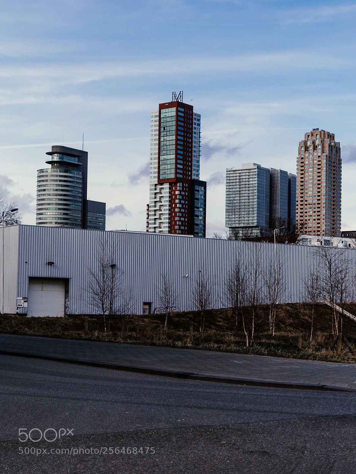 Nikon D5300 sample photo. Roffa from katendrecht. photography