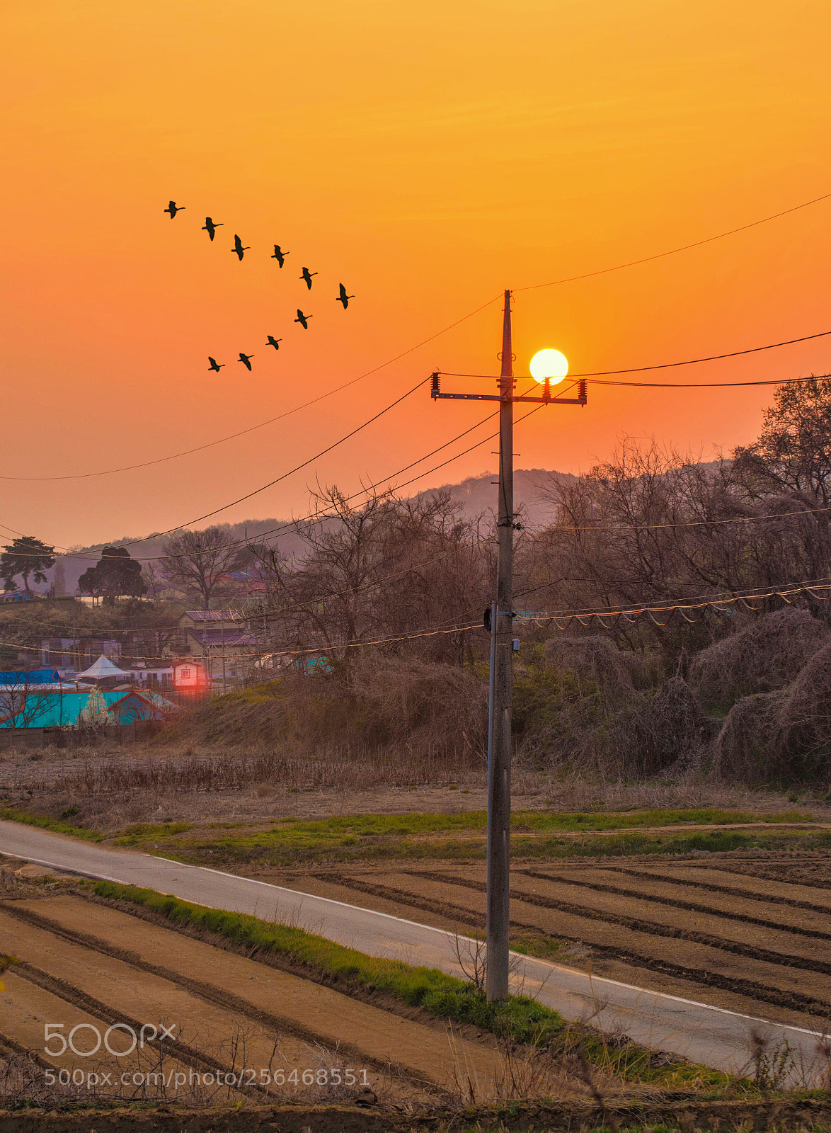 Nikon D5600 sample photo. Beautiful sunset  photography