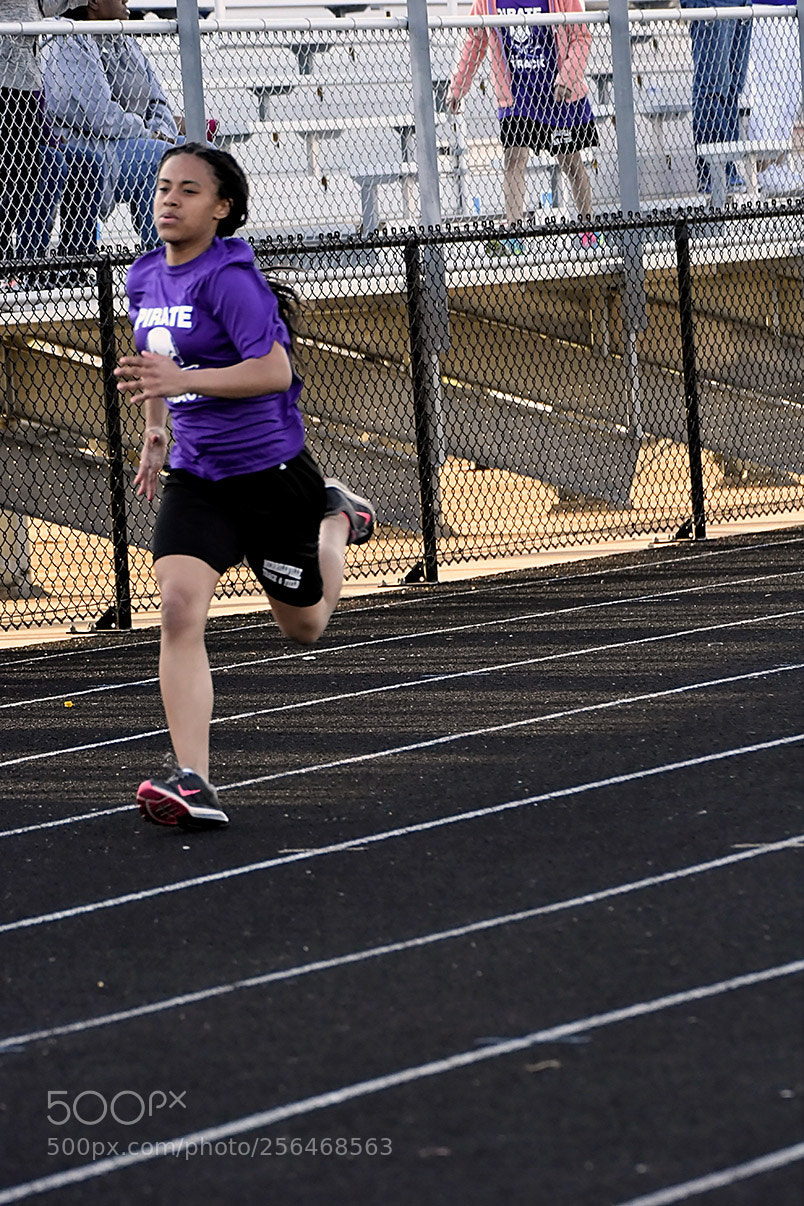 Nikon D500 sample photo. 4-30_1177.jpg photography
