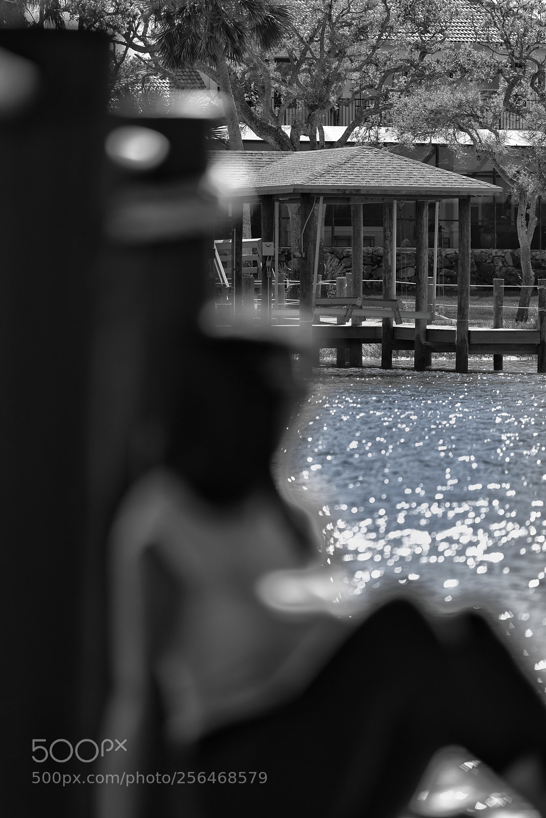 Nikon D810 sample photo. Sitting on the dock photography