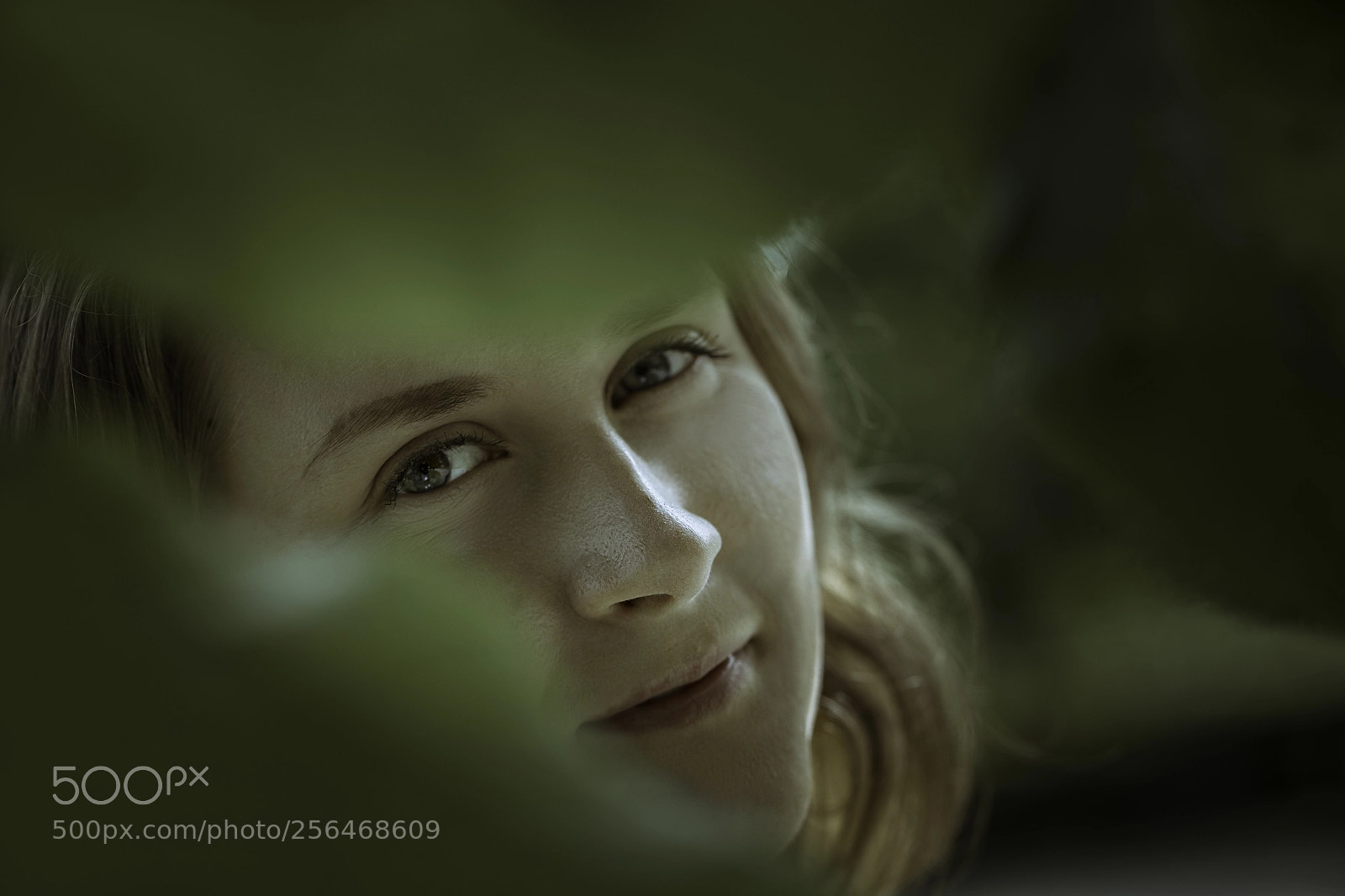 Canon EOS 6D sample photo. Behind the woods photography