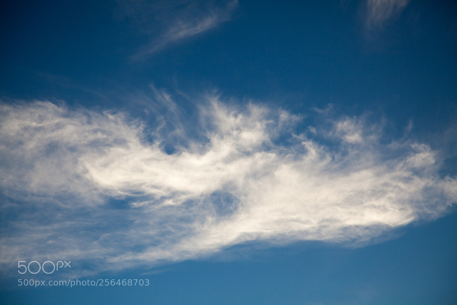 Canon EOS 5D Mark II sample photo. Untitled photography