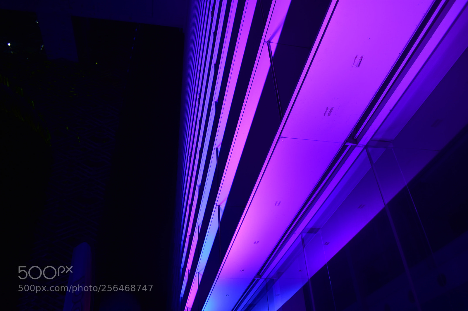 Nikon D3400 sample photo. Purple of architecture photography