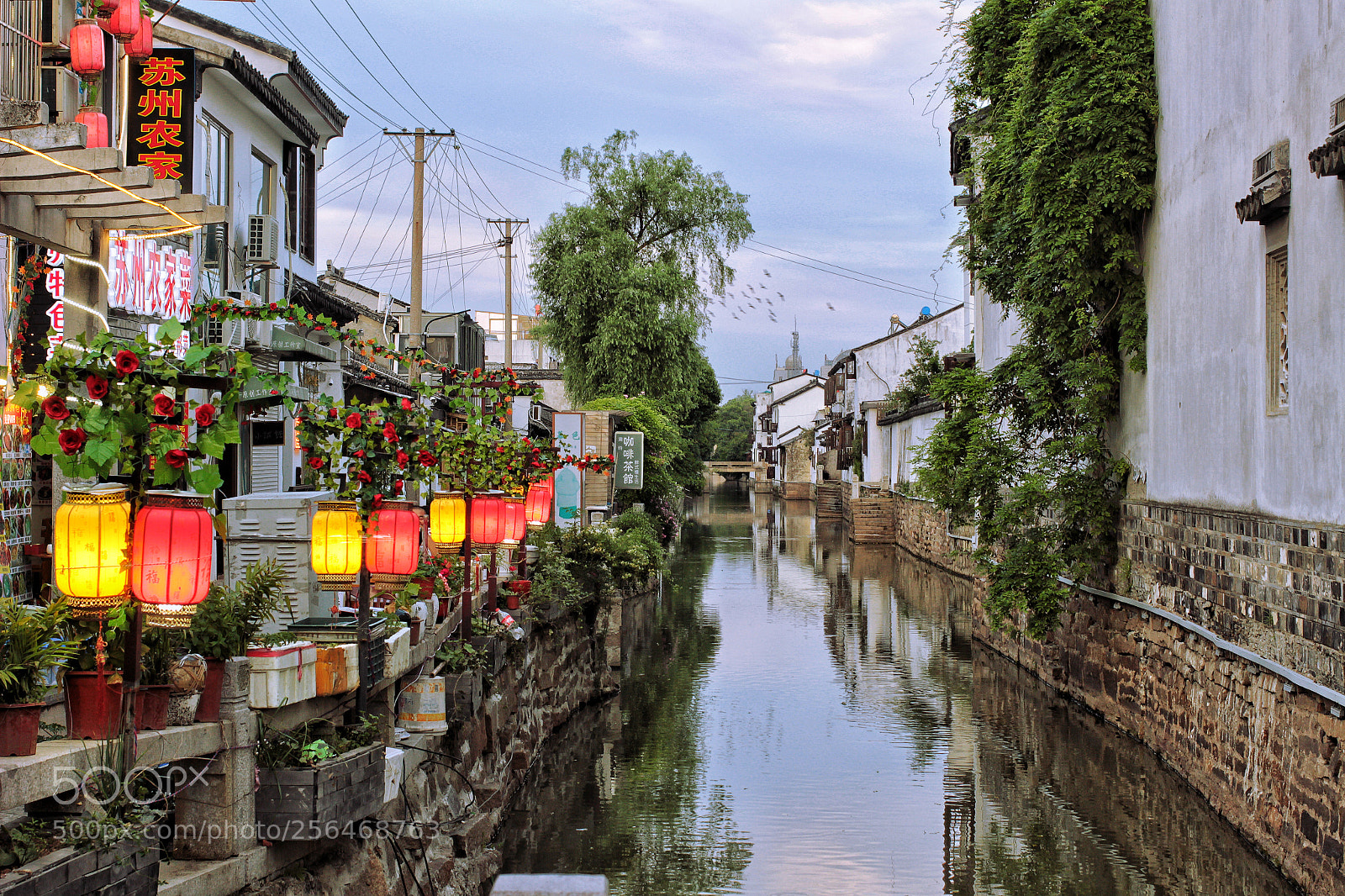 Canon EOS 100D (EOS Rebel SL1 / EOS Kiss X7) sample photo. 平江路一景 photography