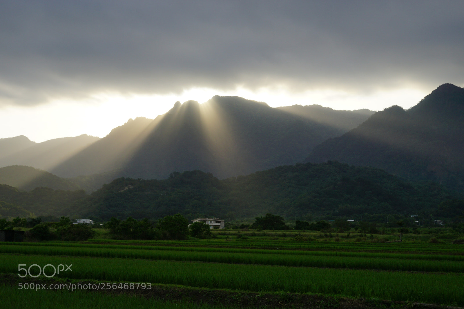 Sony DT 16-50mm F2.8 SSM sample photo. The breakthrough photography