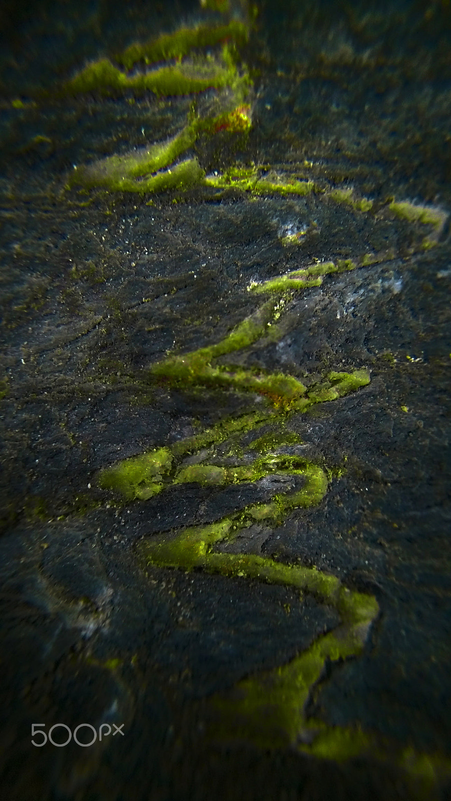 Motorola Moto G (5S) sample photo. Detail on a rock photography