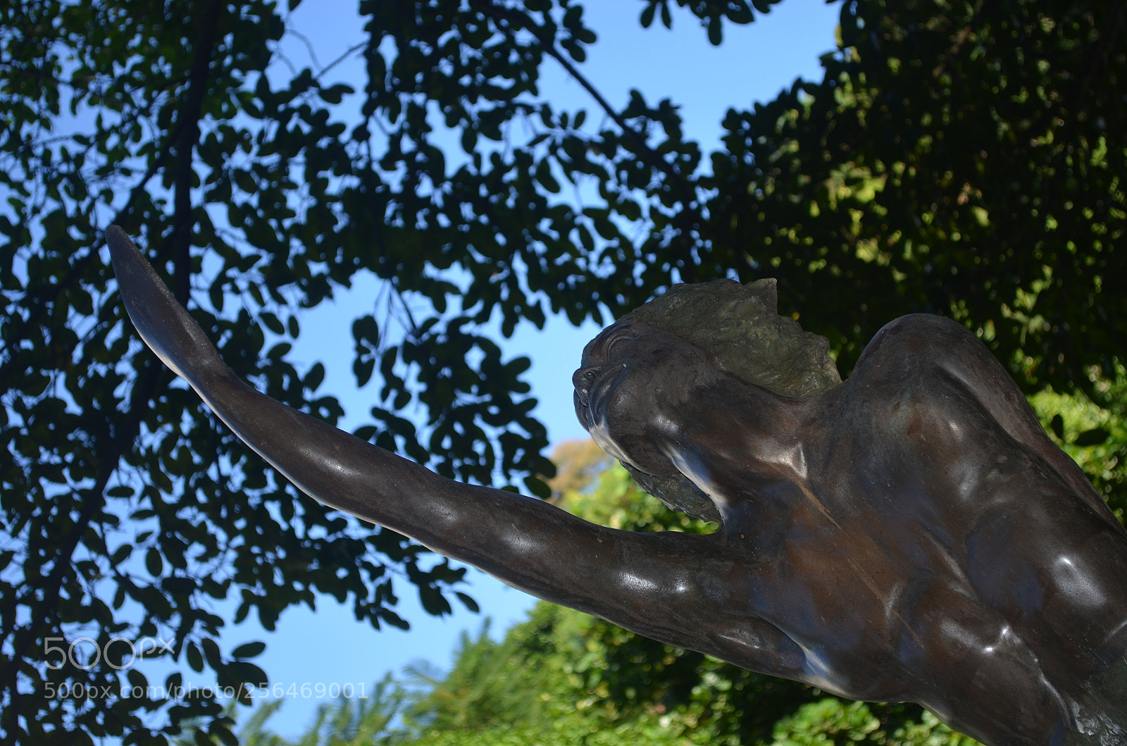 Nikon D5100 sample photo. Pq. da catacumba 2 photography