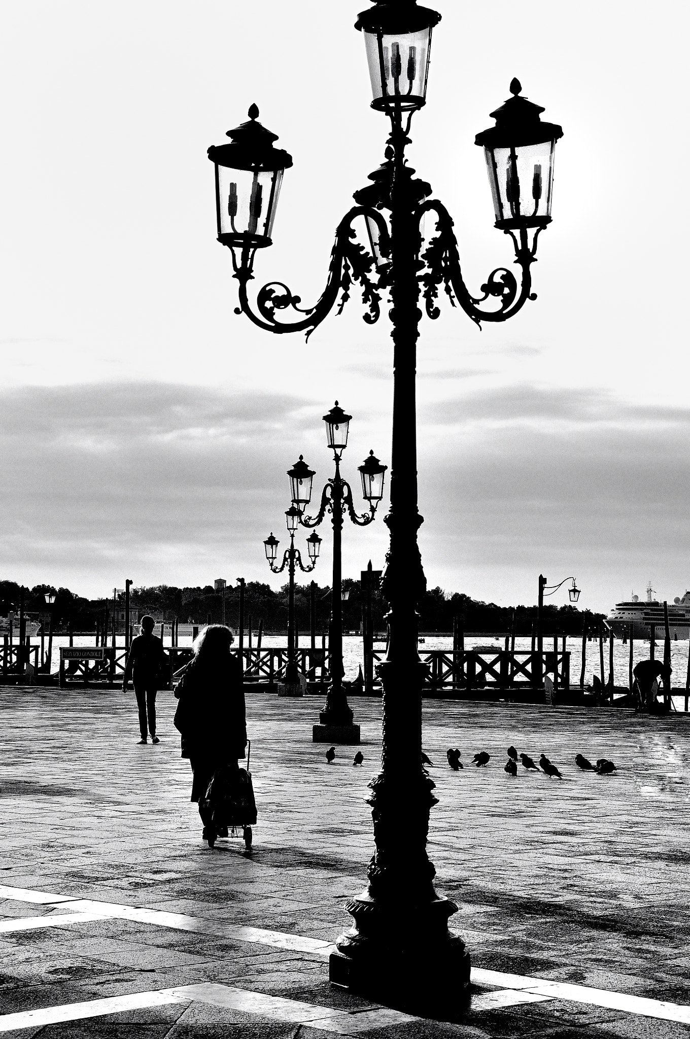 Nikon D300 sample photo. Street lamps - venice  b&w photography