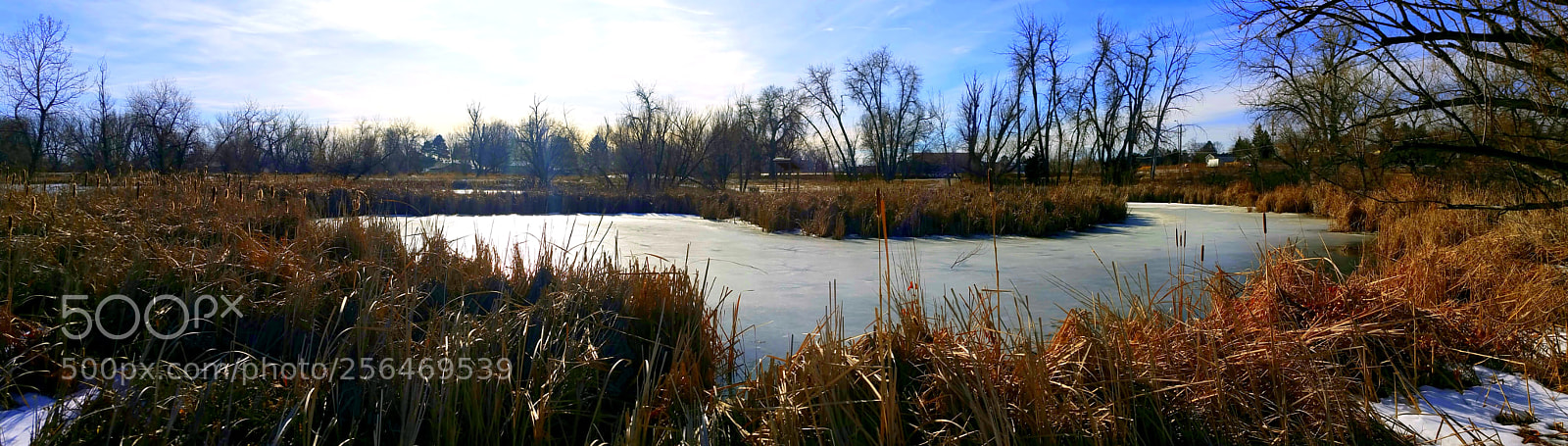 Samsung Galaxy Note4 sample photo. Frozen marsh morning photography