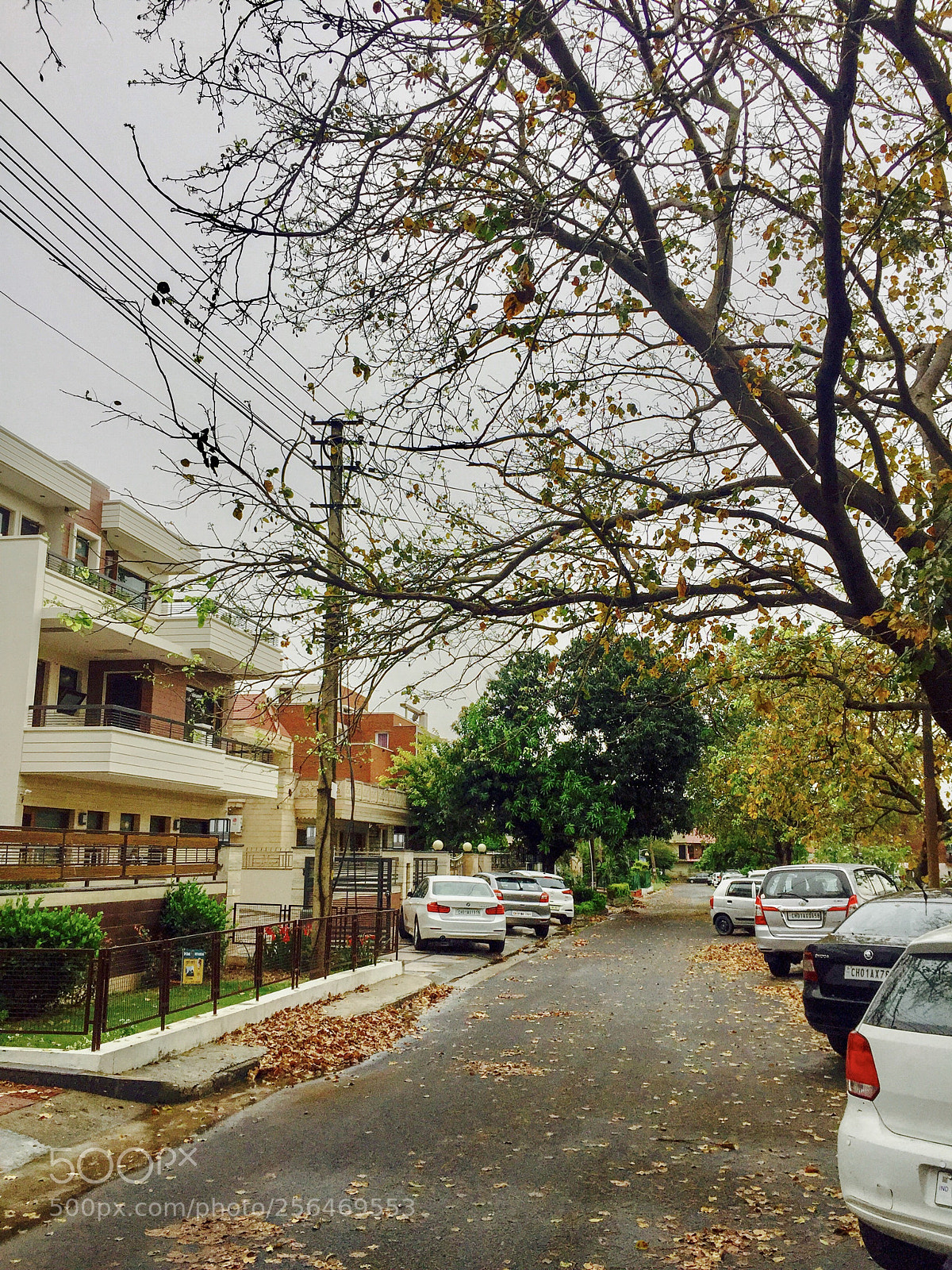 Apple iPhone 6 sample photo. Untitled photography