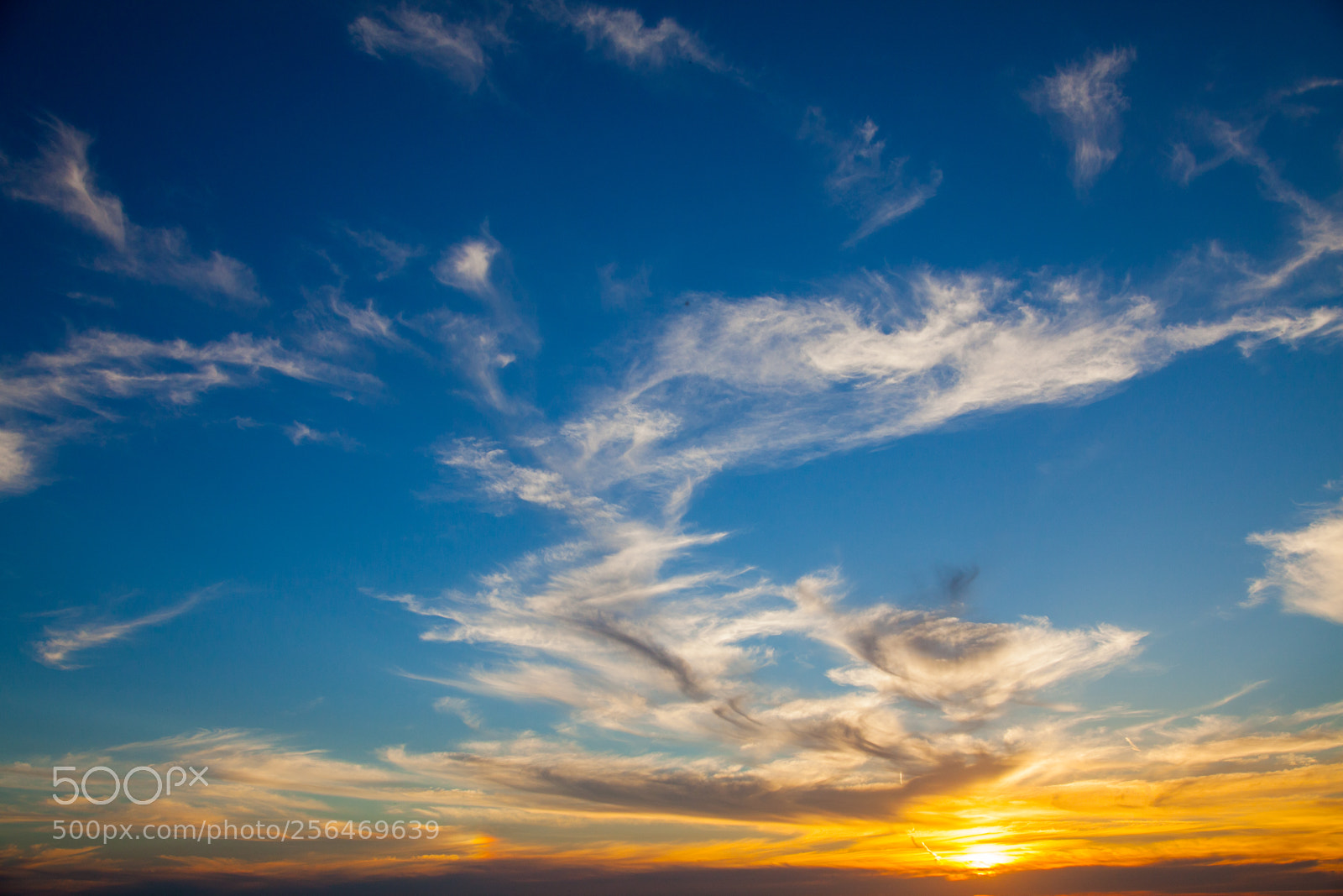 Canon EOS 5D Mark II sample photo. Untitled photography