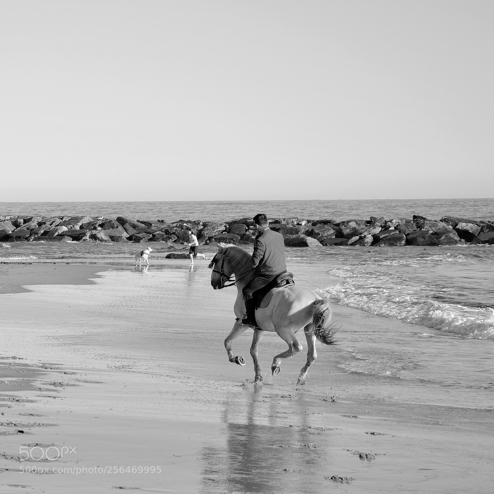 Nikon D5200 sample photo. Prince charming photography