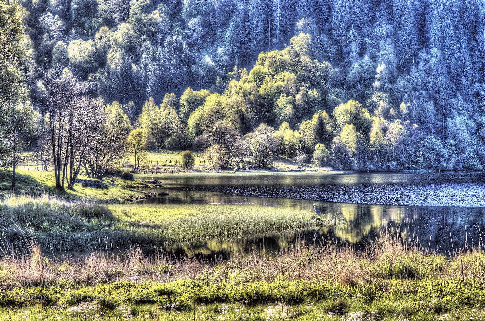 Nikon D70 sample photo. Beitelsvannet, bergen photography