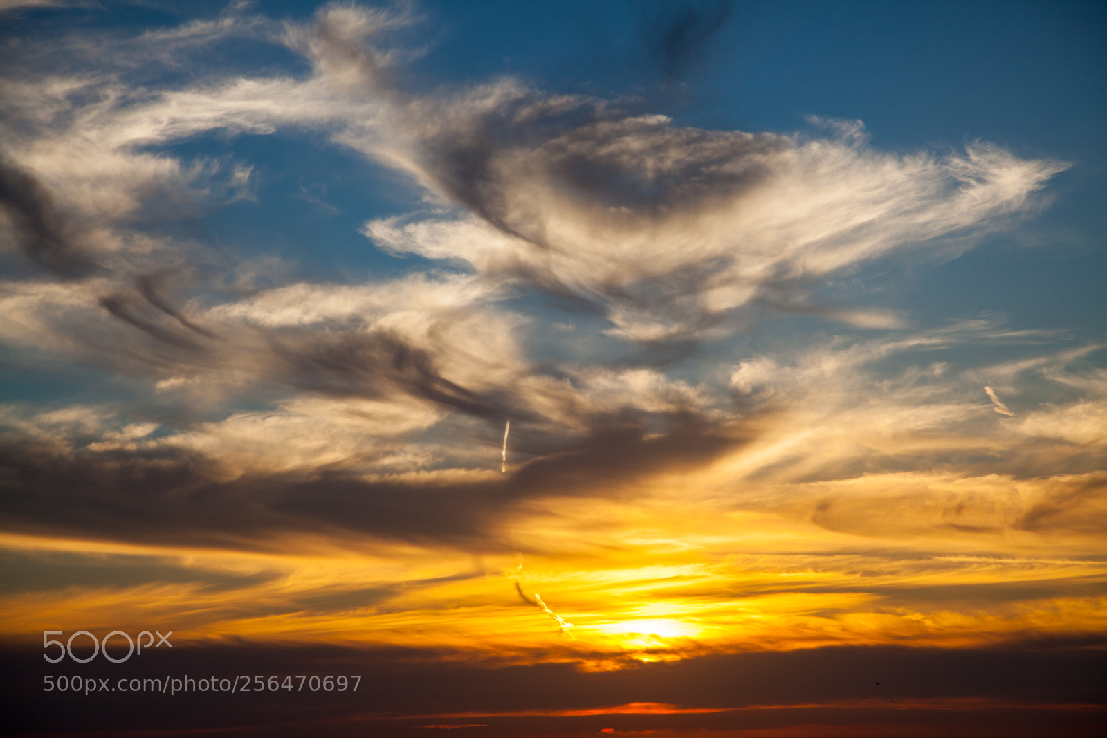 Canon EOS 5D Mark II sample photo. Untitled photography