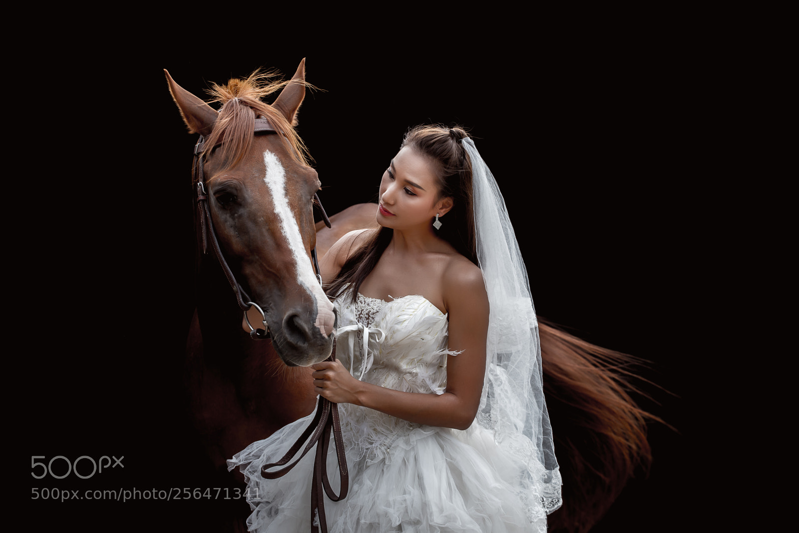 Canon EOS 6D sample photo. Beautiful bride with horse photography