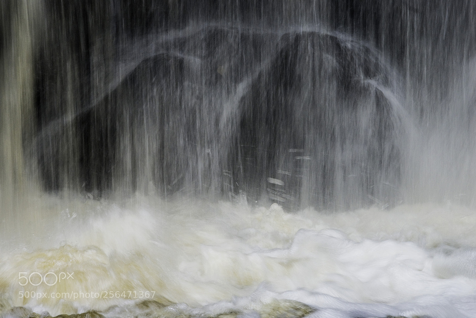 Nikon D200 sample photo. Roughting linn after the photography