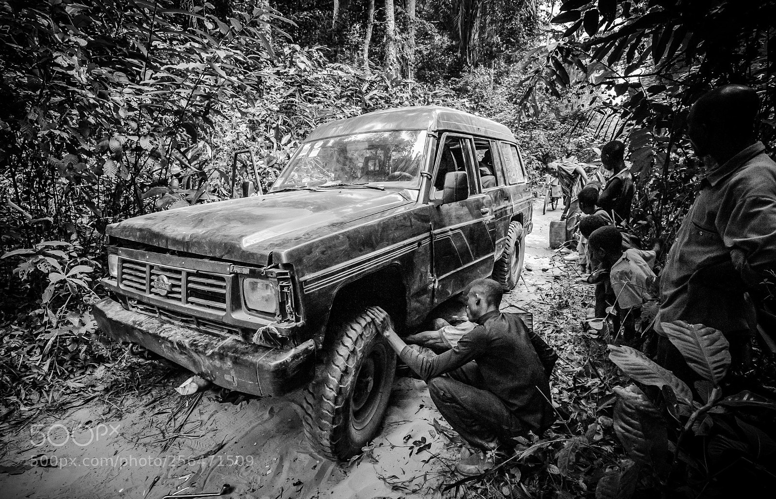 Nikon D700 sample photo. Fullres photography