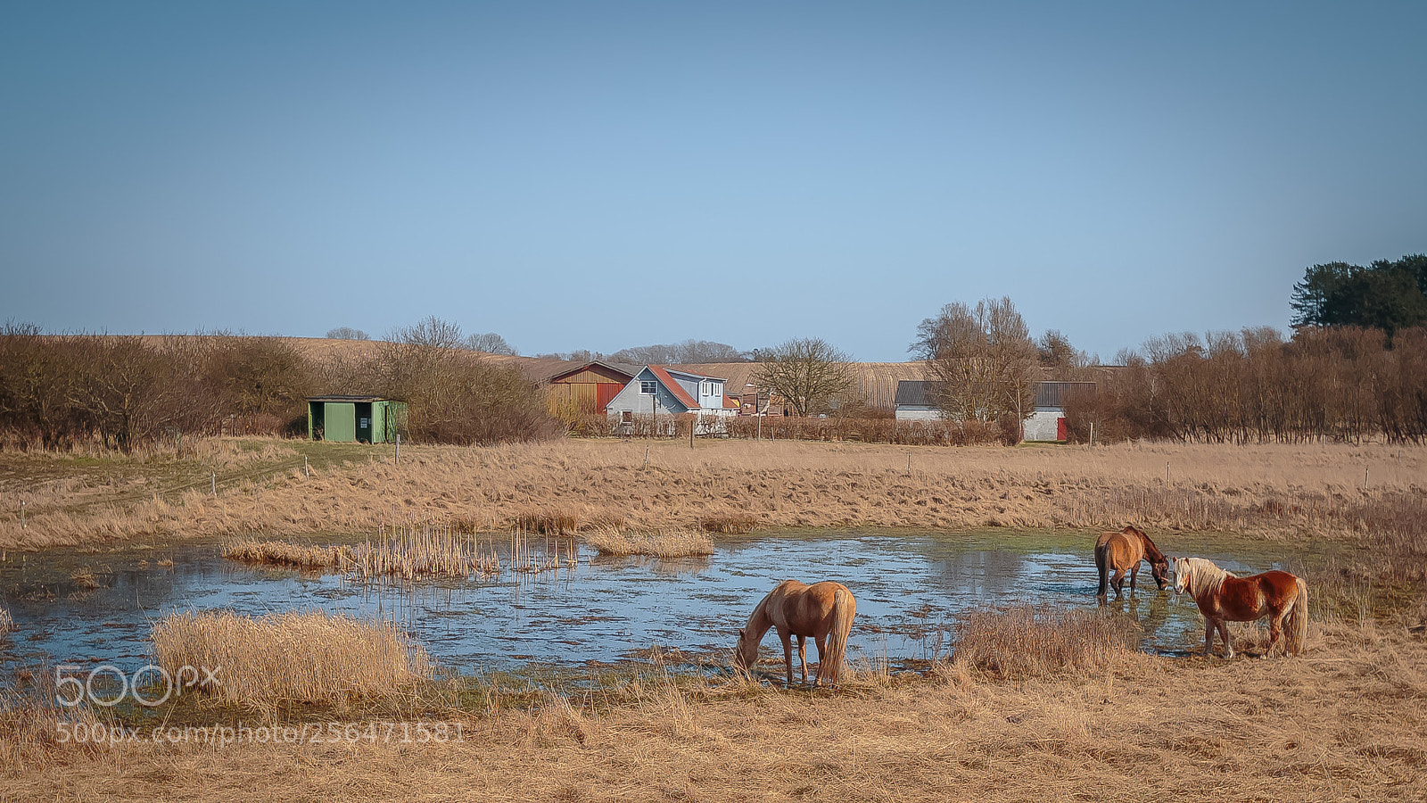 Canon EOS 70D sample photo. Samsø photography