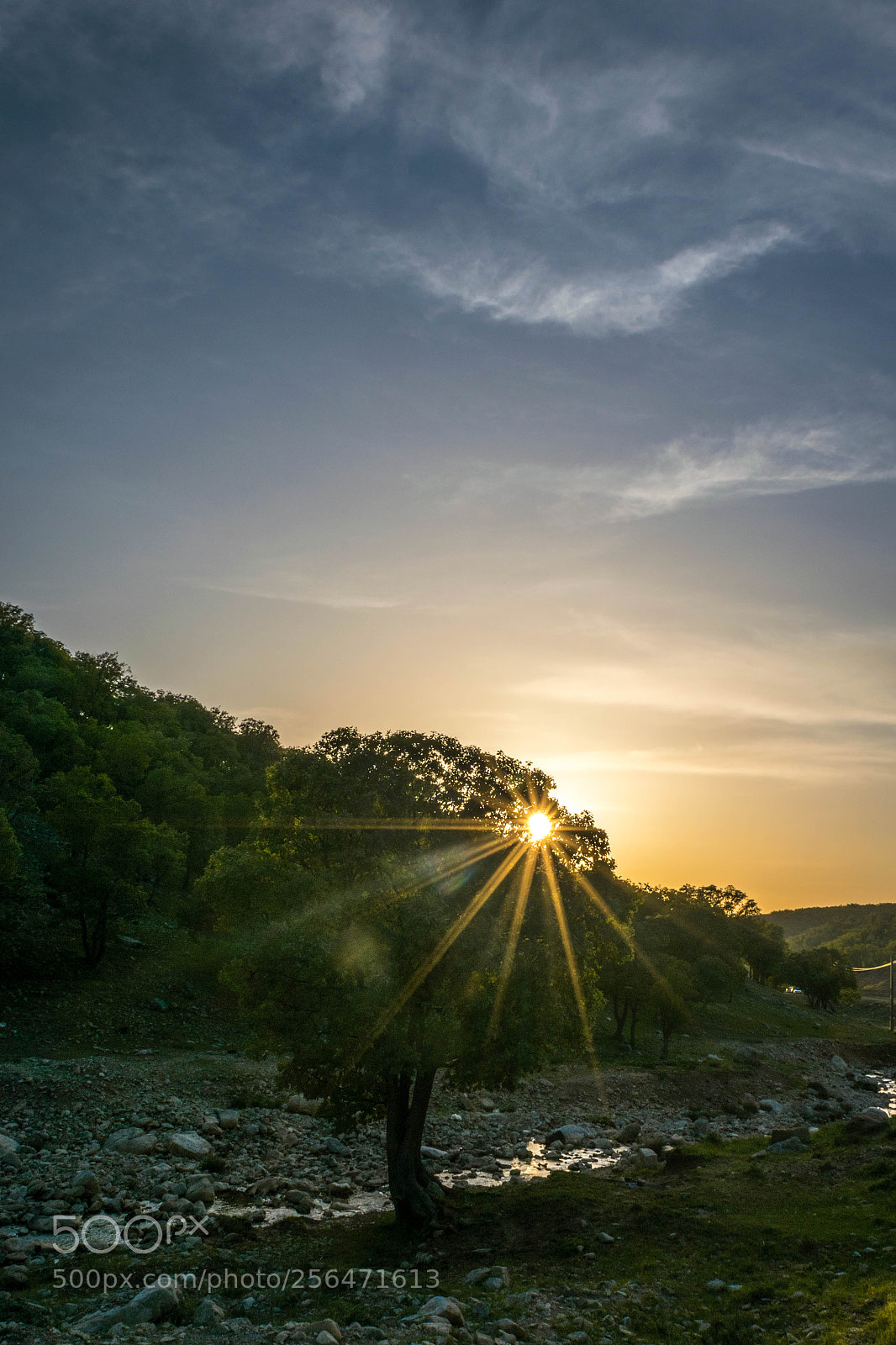 Nikon D3300 sample photo. Sun photography
