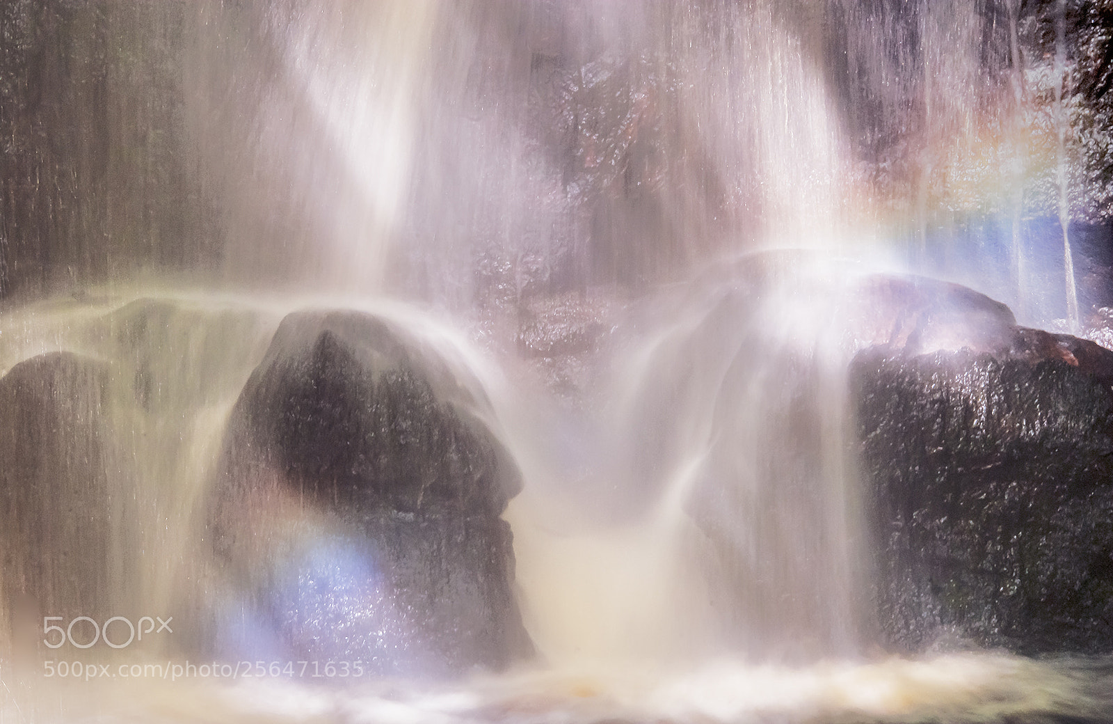 Nikon D200 sample photo. Sunlight on roughting linn photography