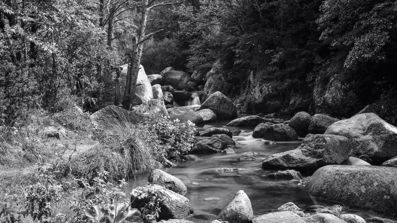 Nikon D7200 sample photo. Rio pirenaico photography