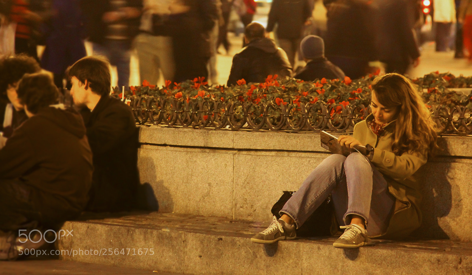 Canon EOS 550D (EOS Rebel T2i / EOS Kiss X4) sample photo. The unknown artist photography