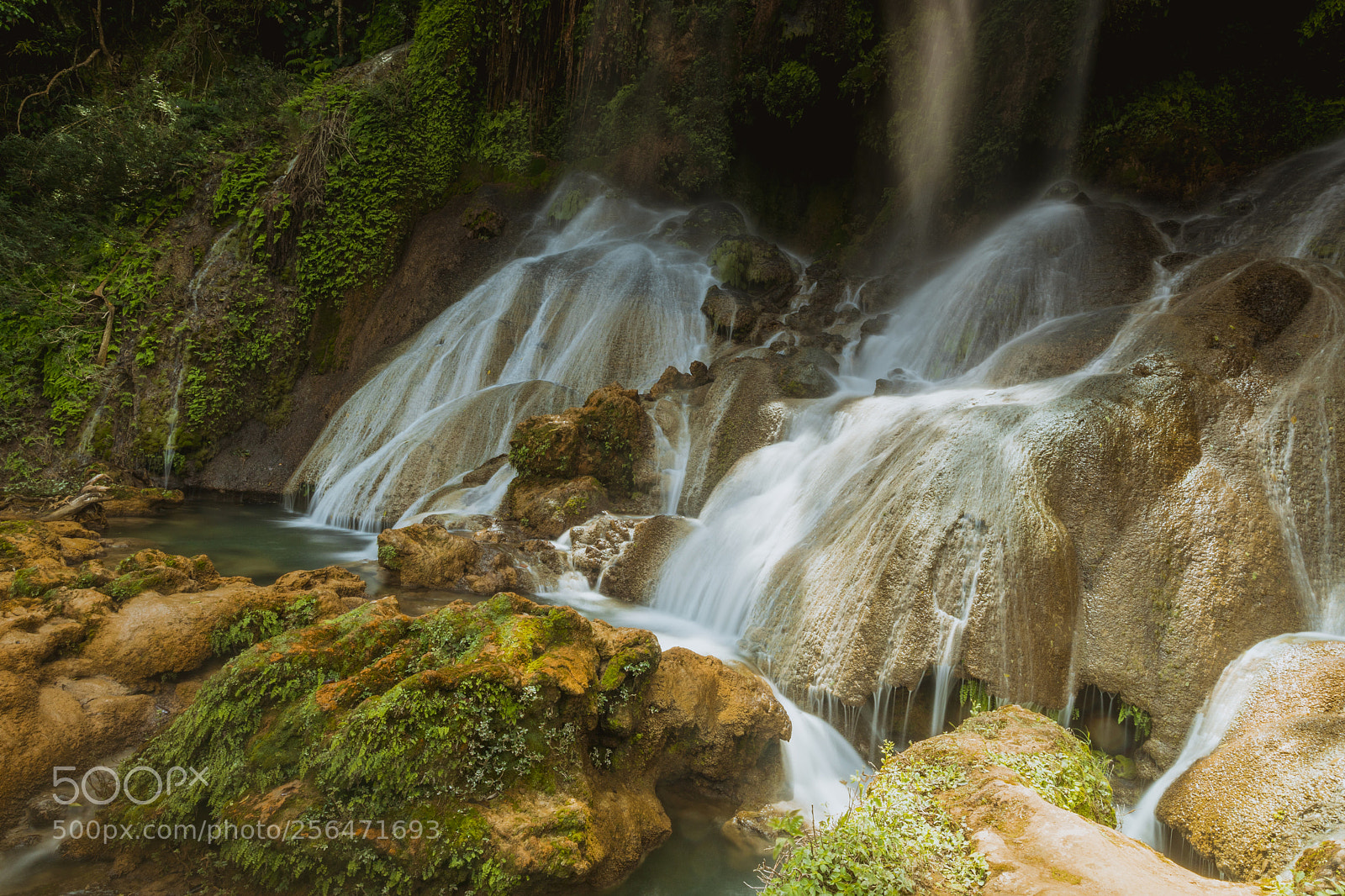 Canon EOS 5D Mark IV sample photo. Parque el nicho photography