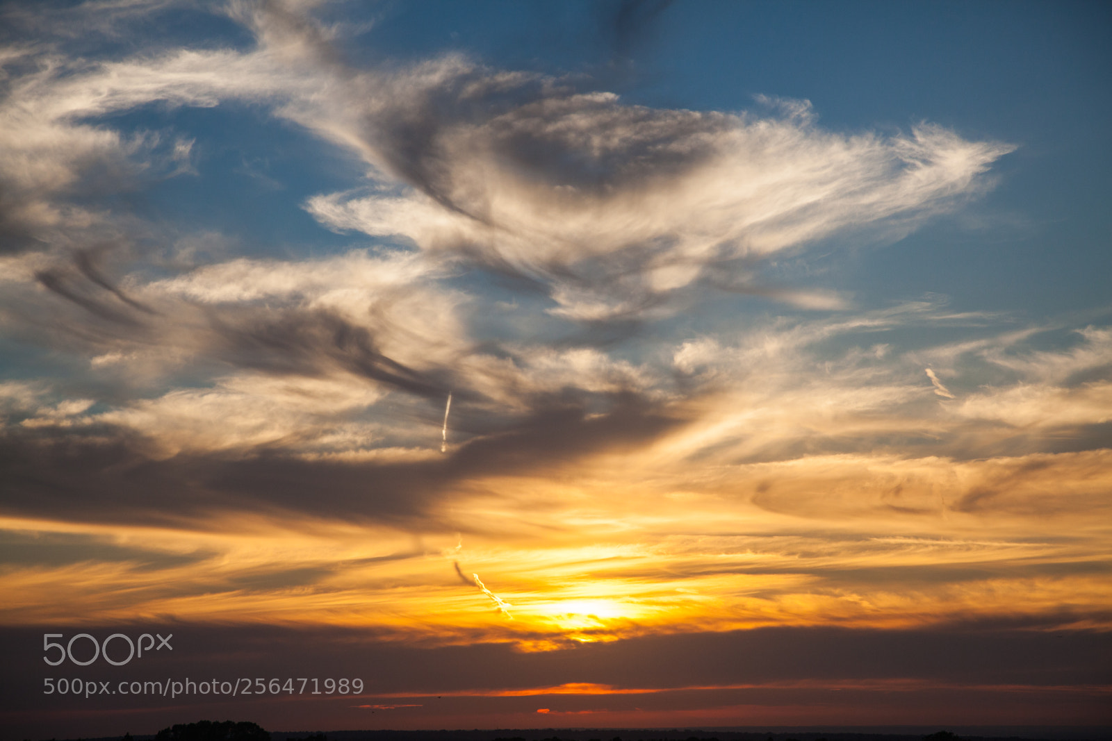 Canon EOS 5D Mark II sample photo. Untitled photography