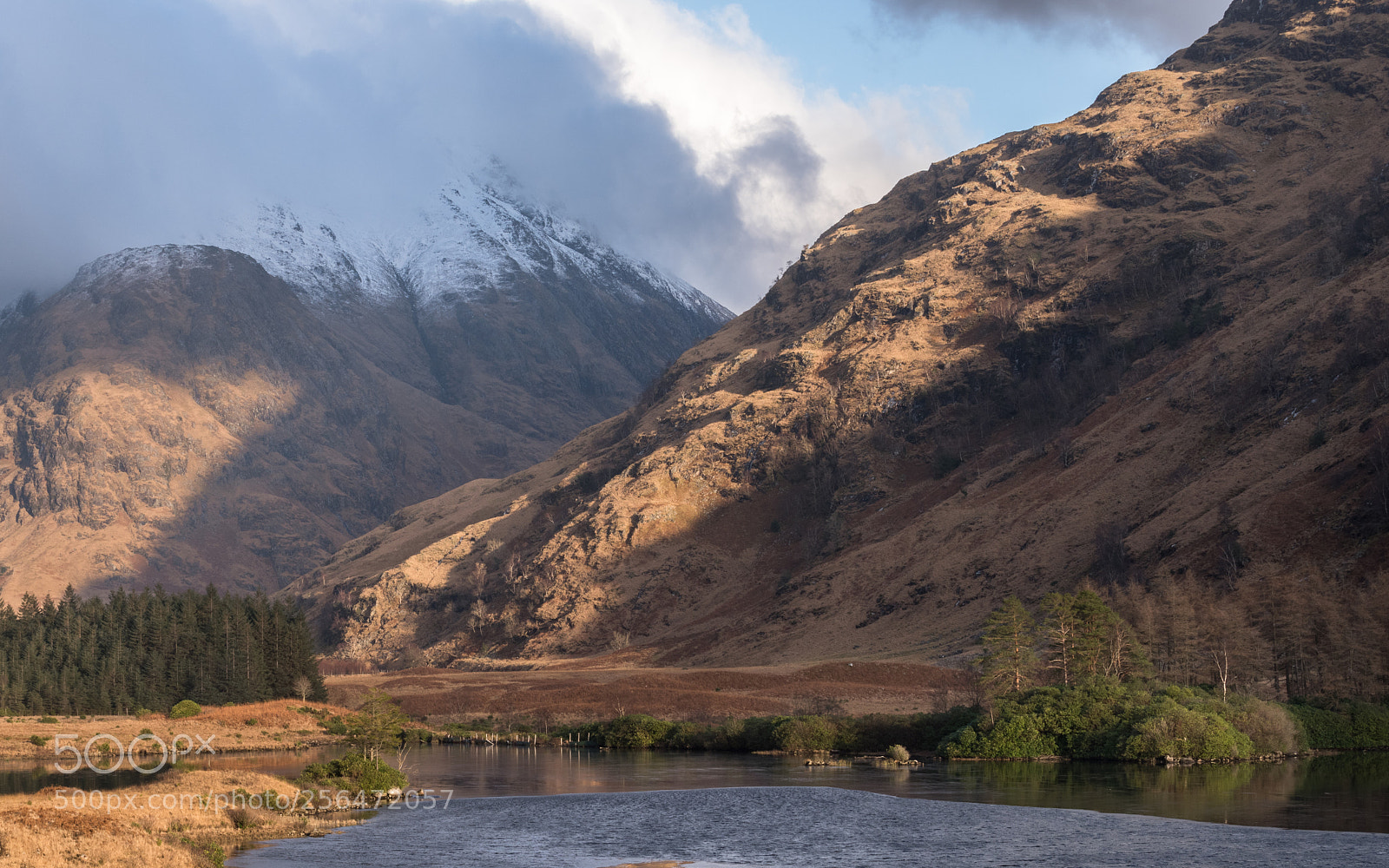 Nikon D810 sample photo. Lochan urr and stob photography